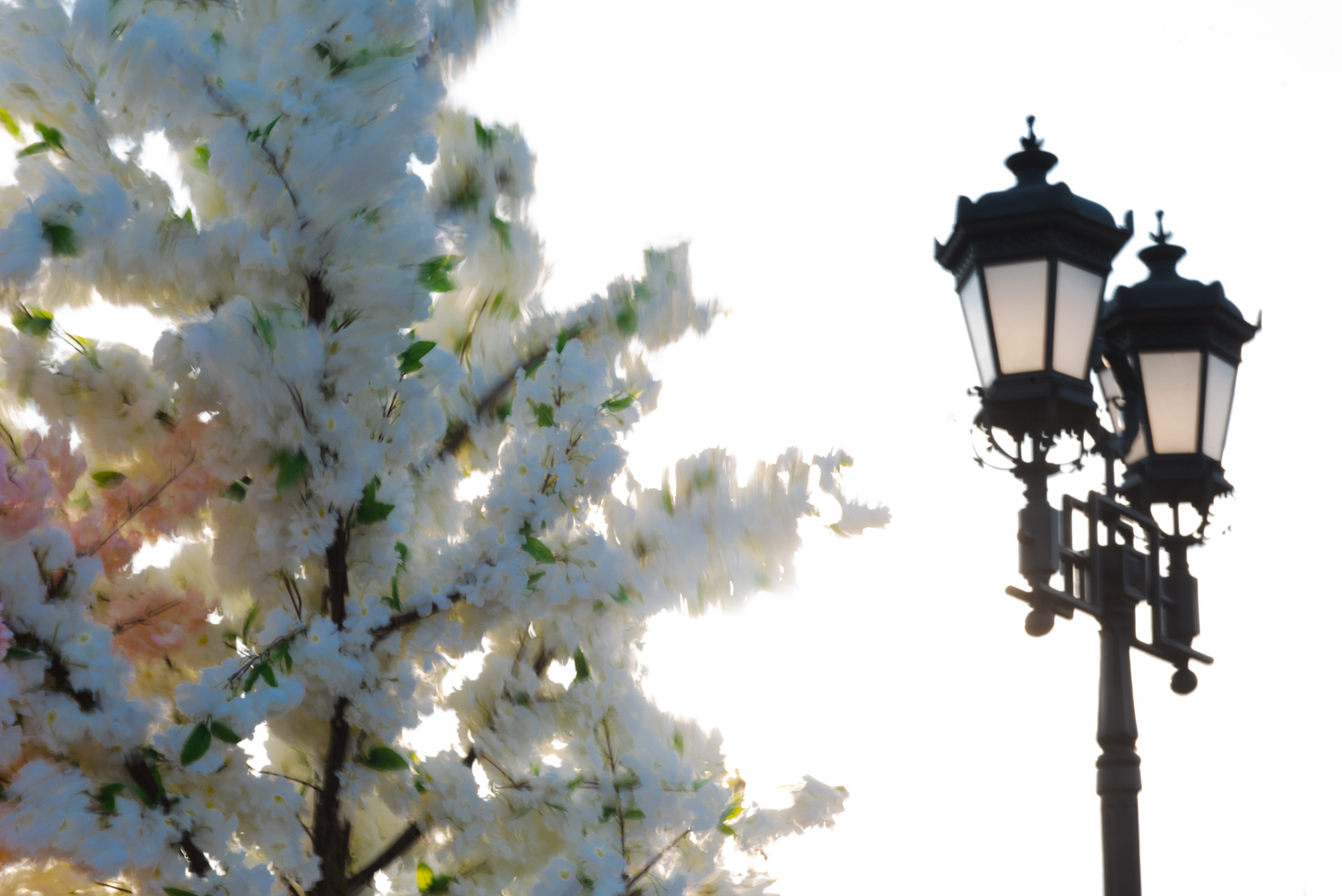 Дом Перцовой и ГЭС-2. Портретный и архитектурный фотограф в Москве и Санкт-Петербурге
