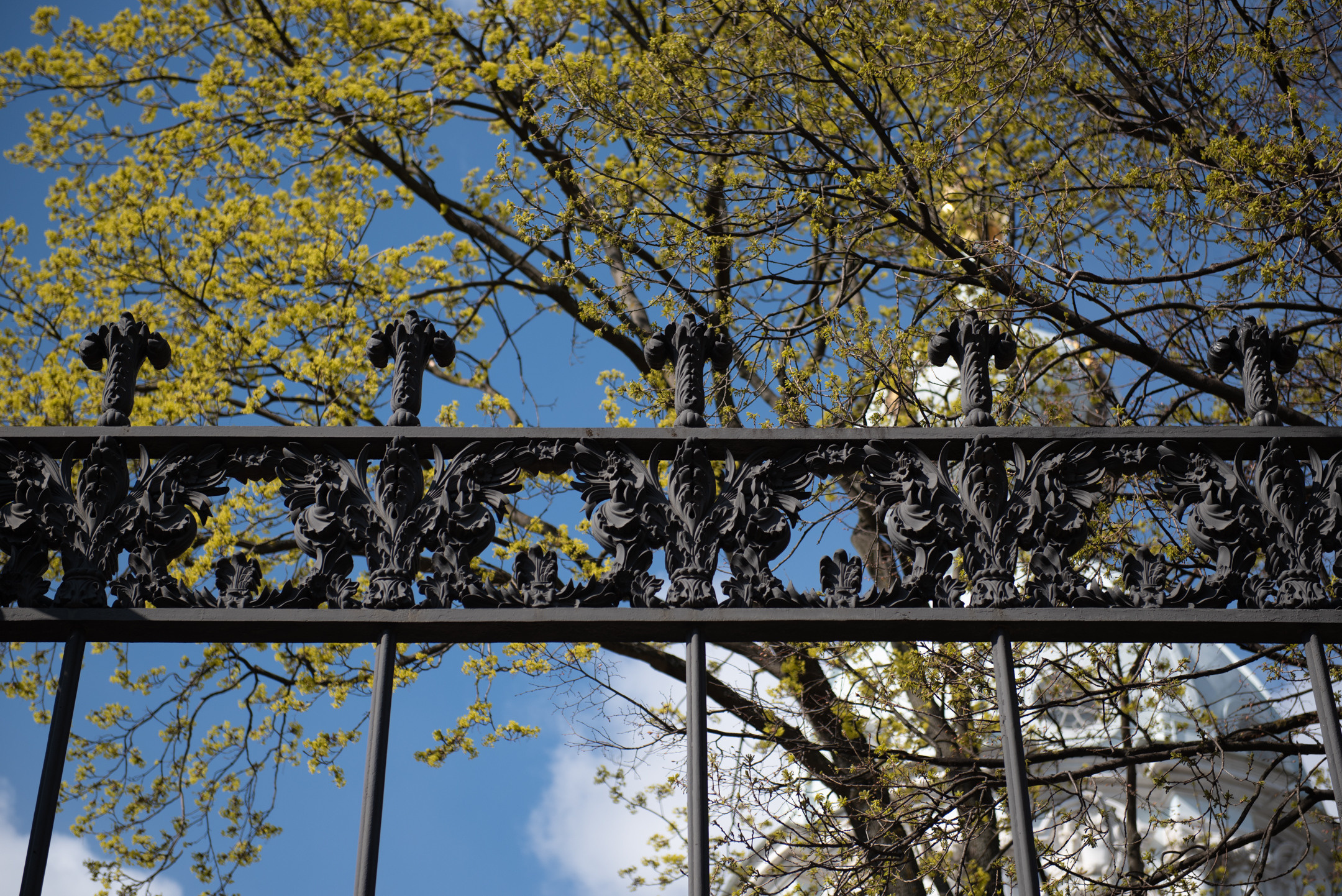 Смольный. Портретный и архитектурный фотограф в Москве и Санкт-Петербурге