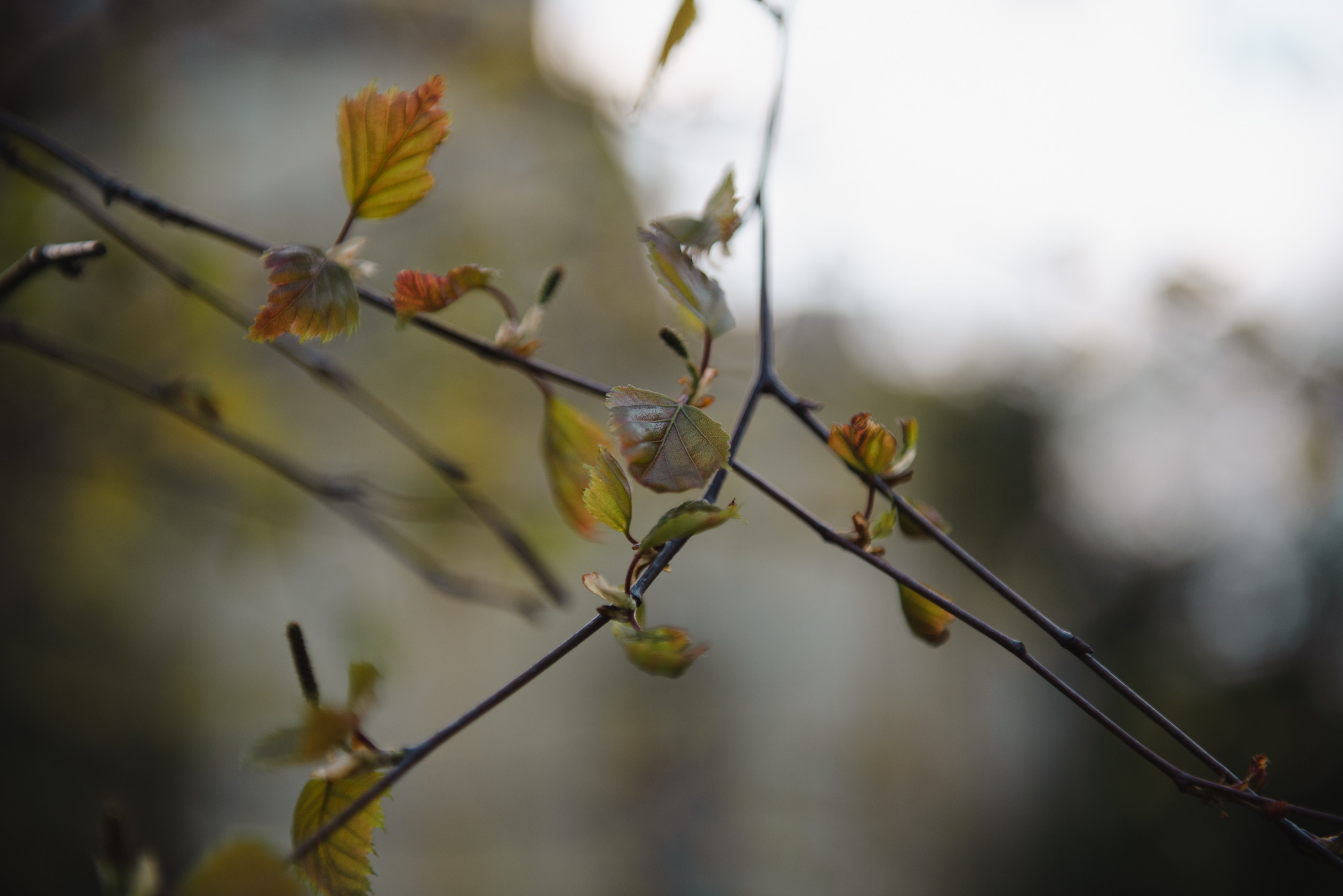 Май в Спб. Портретный и архитектурный фотограф в Москве и Санкт-Петербурге