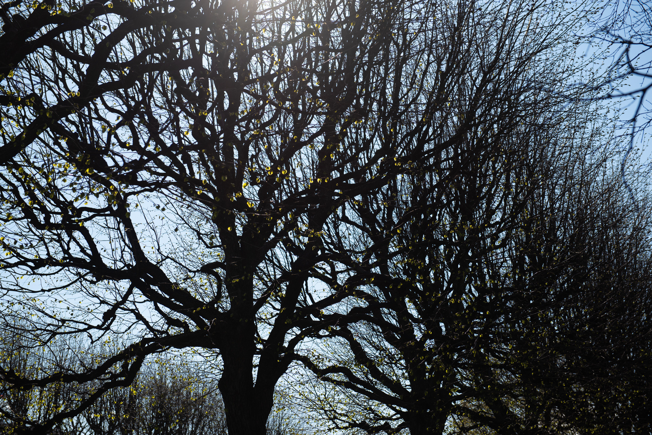 Смольный. Портретный и архитектурный фотограф в Москве и Санкт-Петербурге