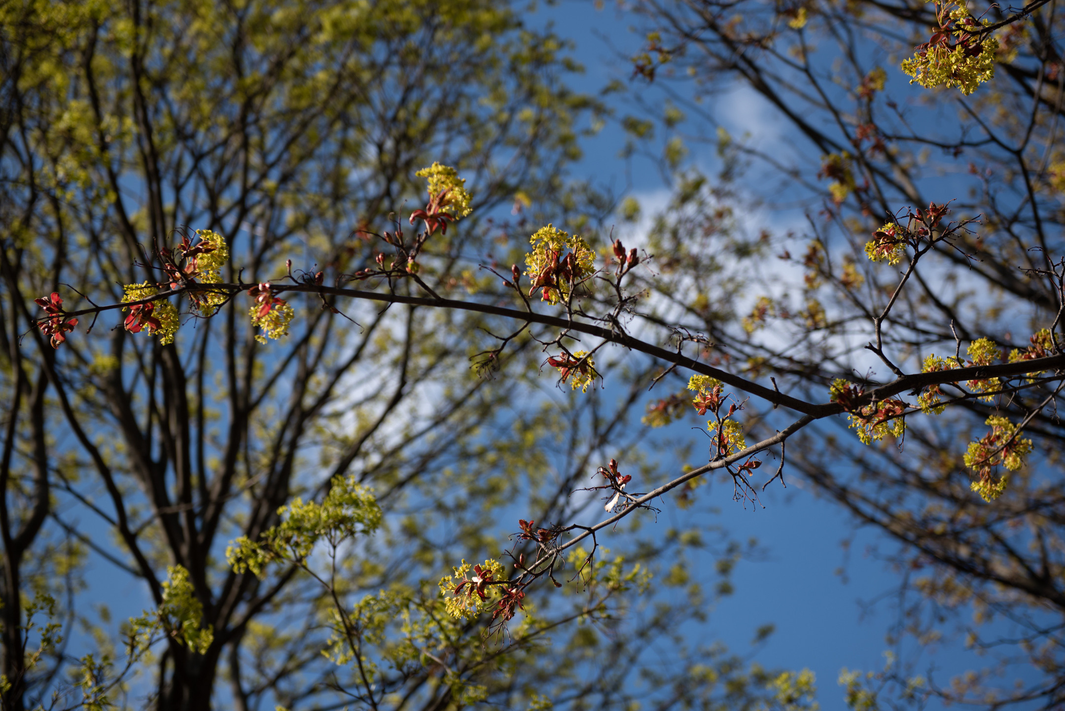 Смольный. Портретный и архитектурный фотограф в Москве и Санкт-Петербурге