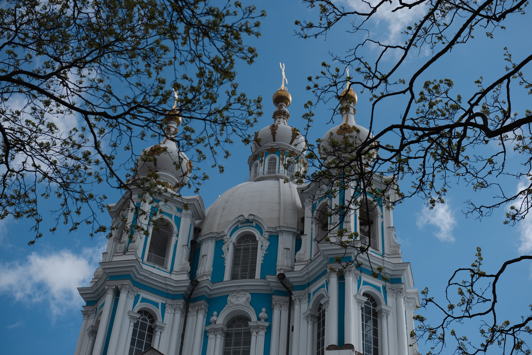 Смольный. Портретный и архитектурный фотограф в Москве и Санкт-Петербурге
