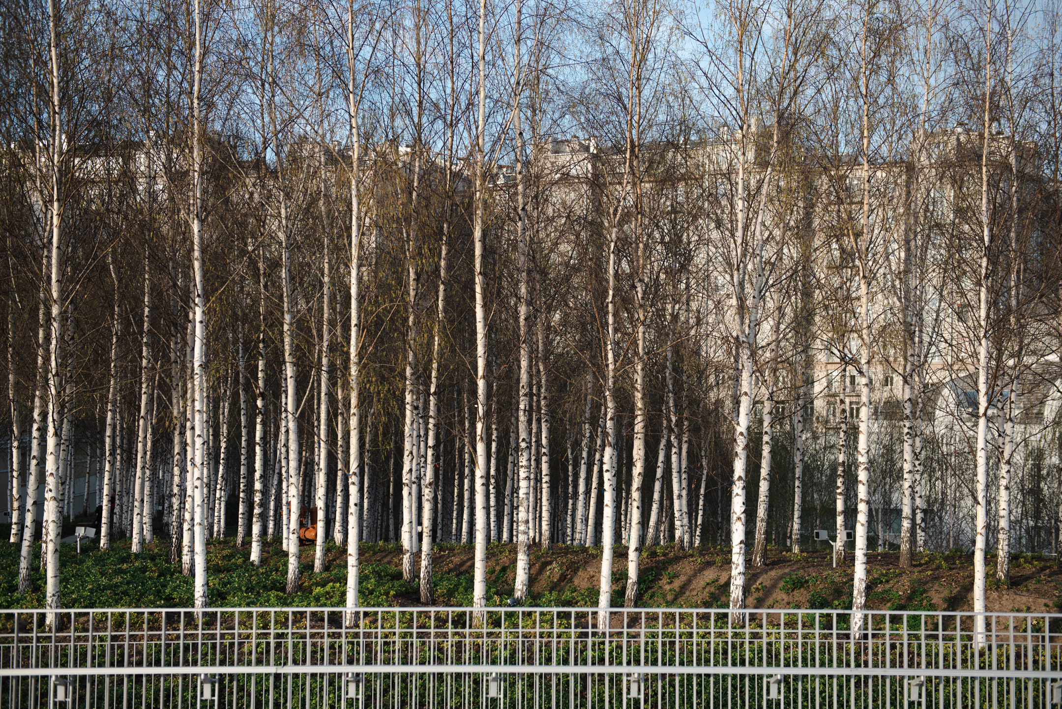 Дом Перцовой и ГЭС-2. Портретный и архитектурный фотограф в Москве и Санкт-Петербурге