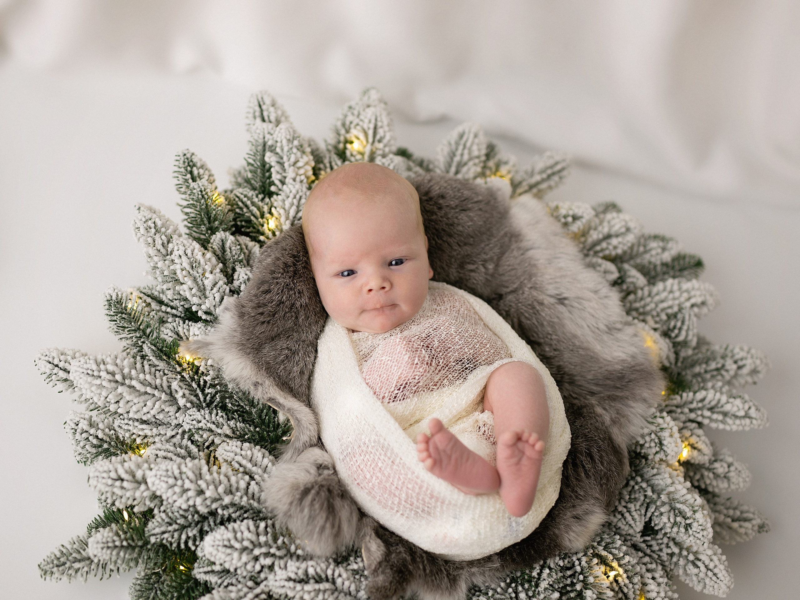 Младенец лежит на зеленых веточках