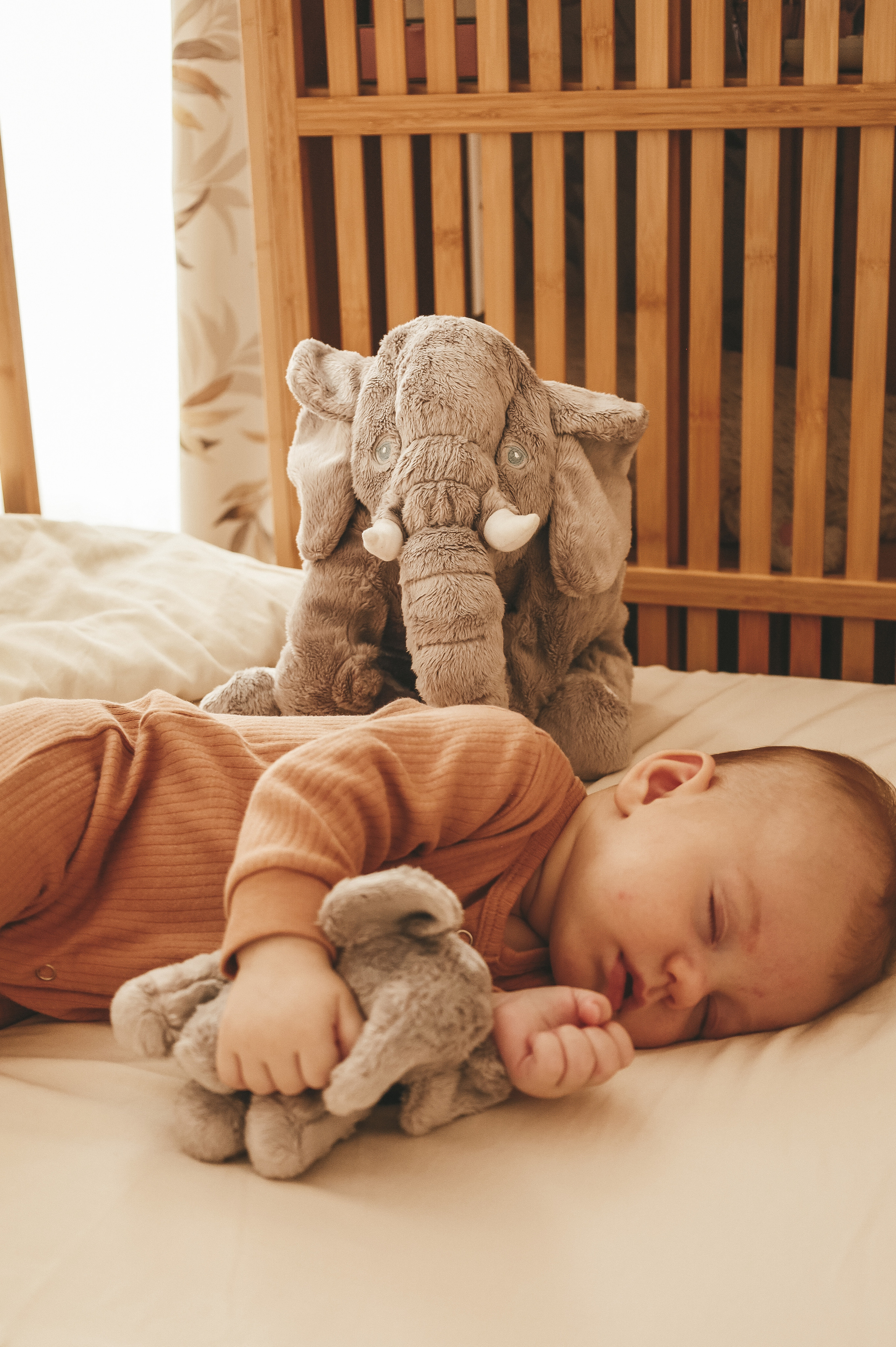 Семейная. Семейный и женский фотограф