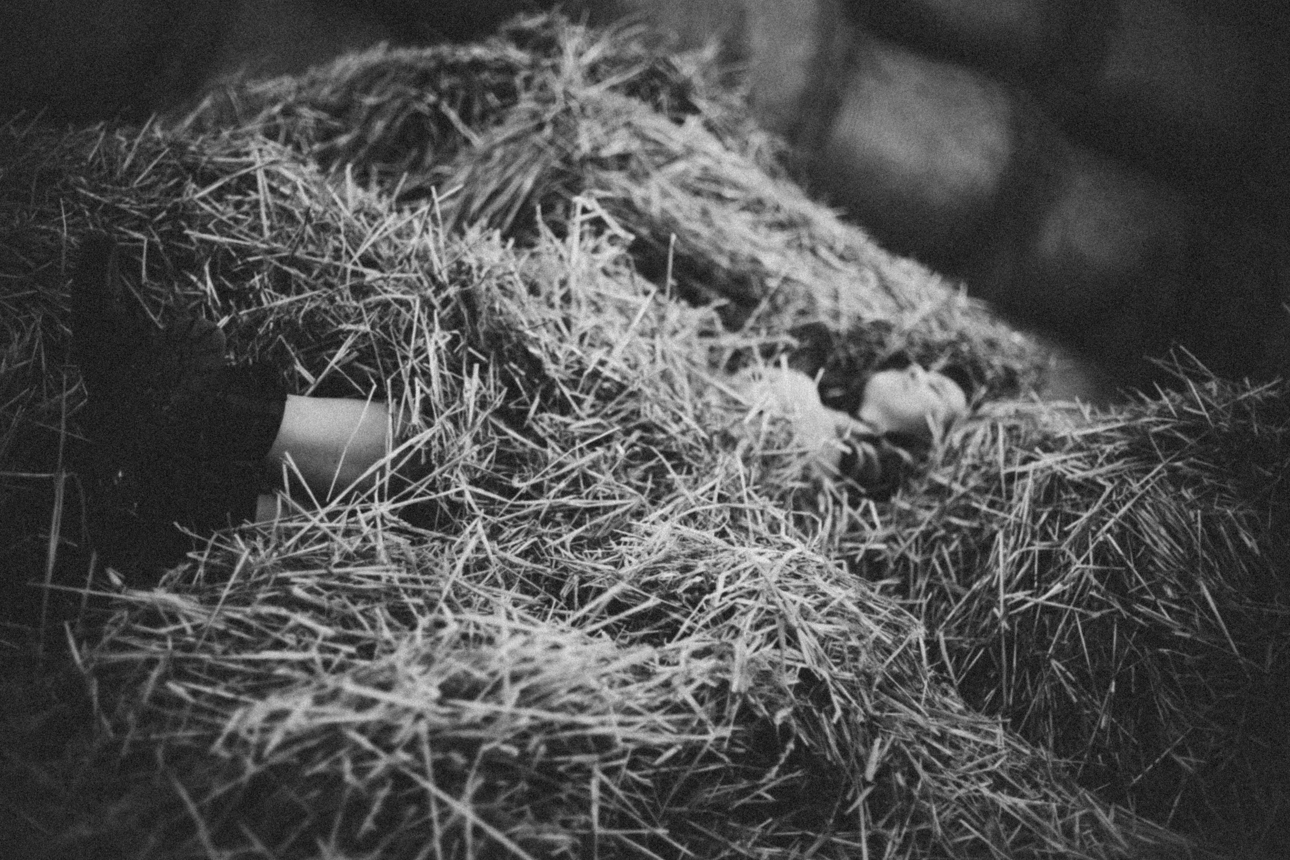 Дарья. Ферма. Фотограф в Нижнем Новгороде