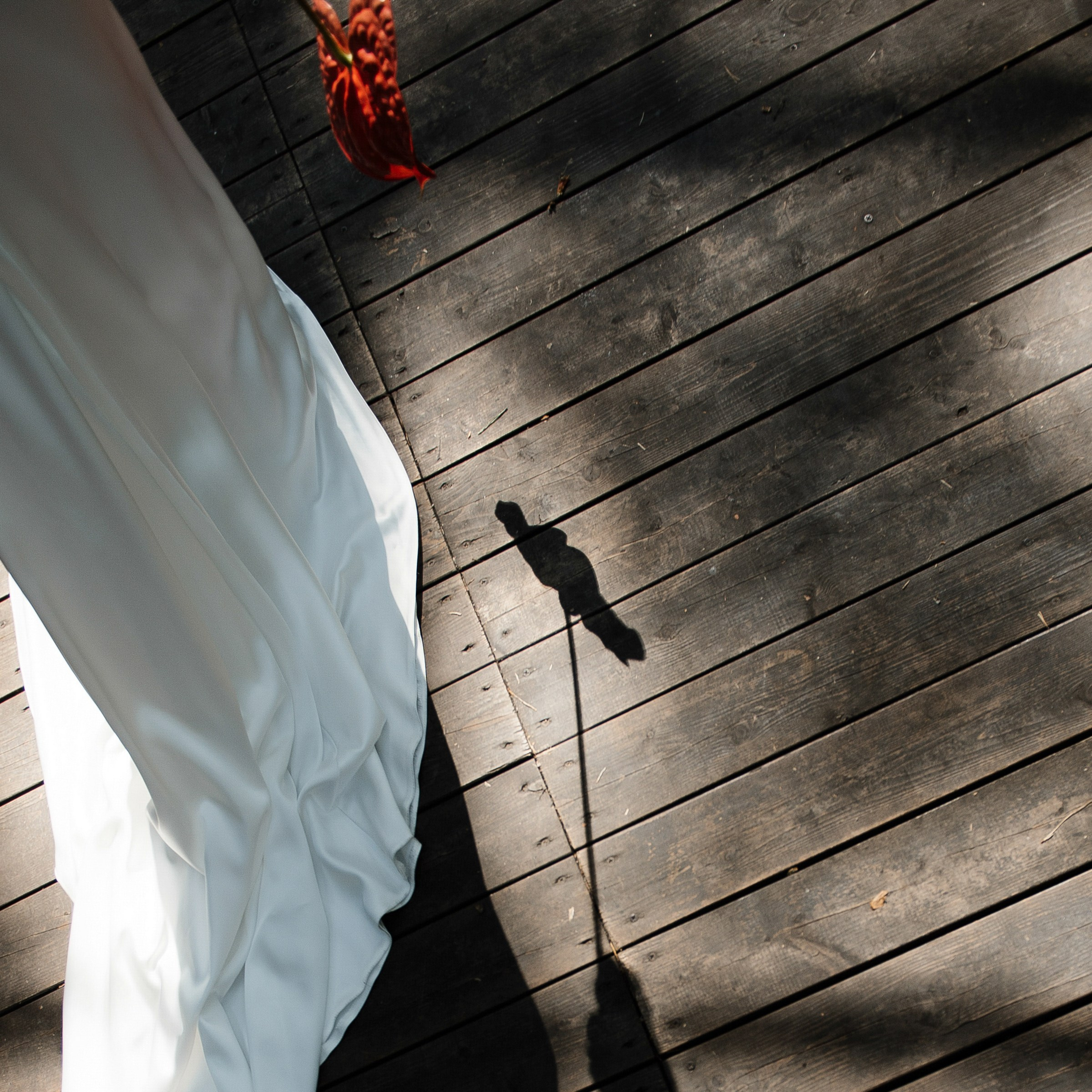 Gucci colors. Свадебный фотограф Саша Базенко