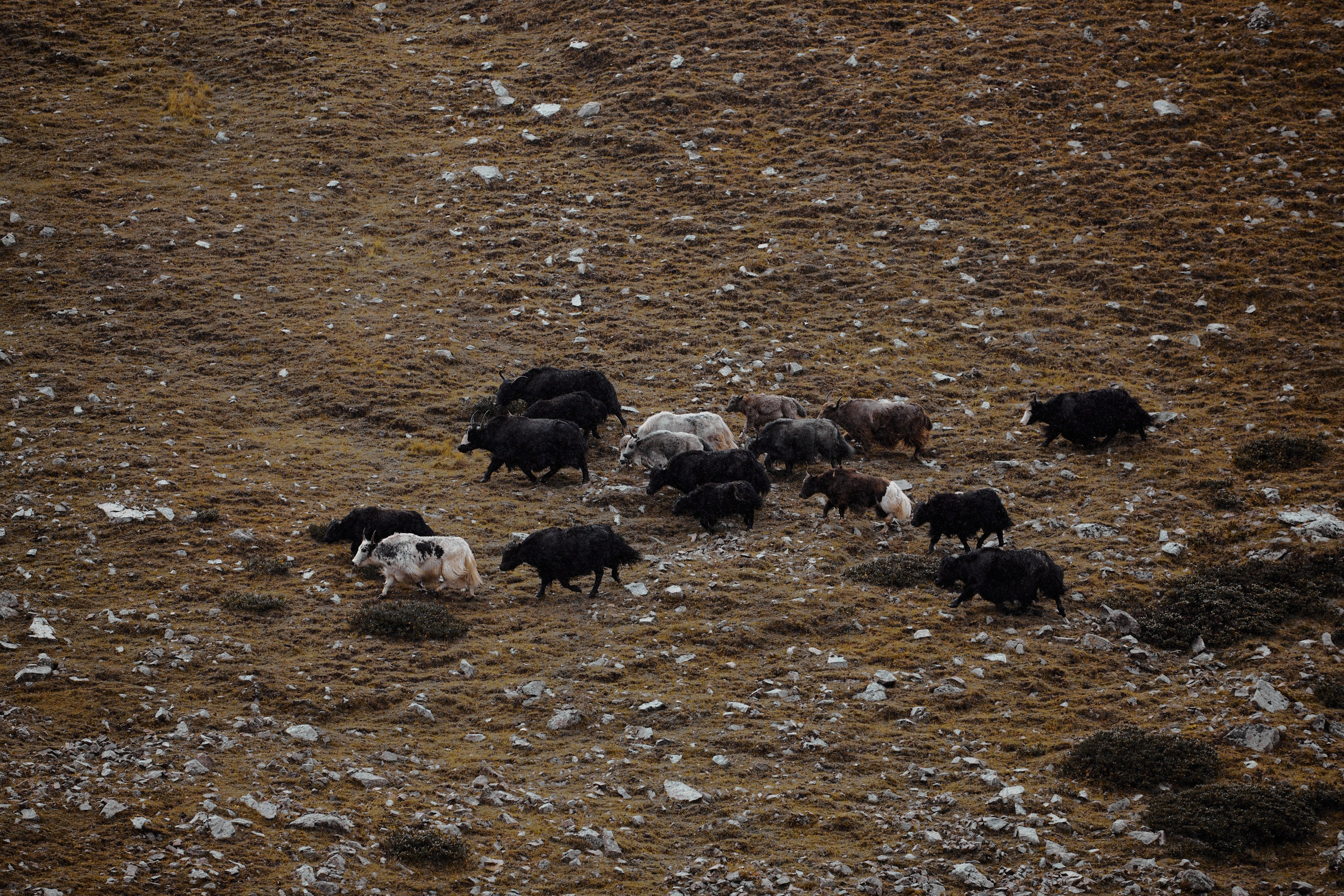 Озеро Гийбашкель. Фотограф Продюсер в горах КБР / Москва  Нальчик Горы