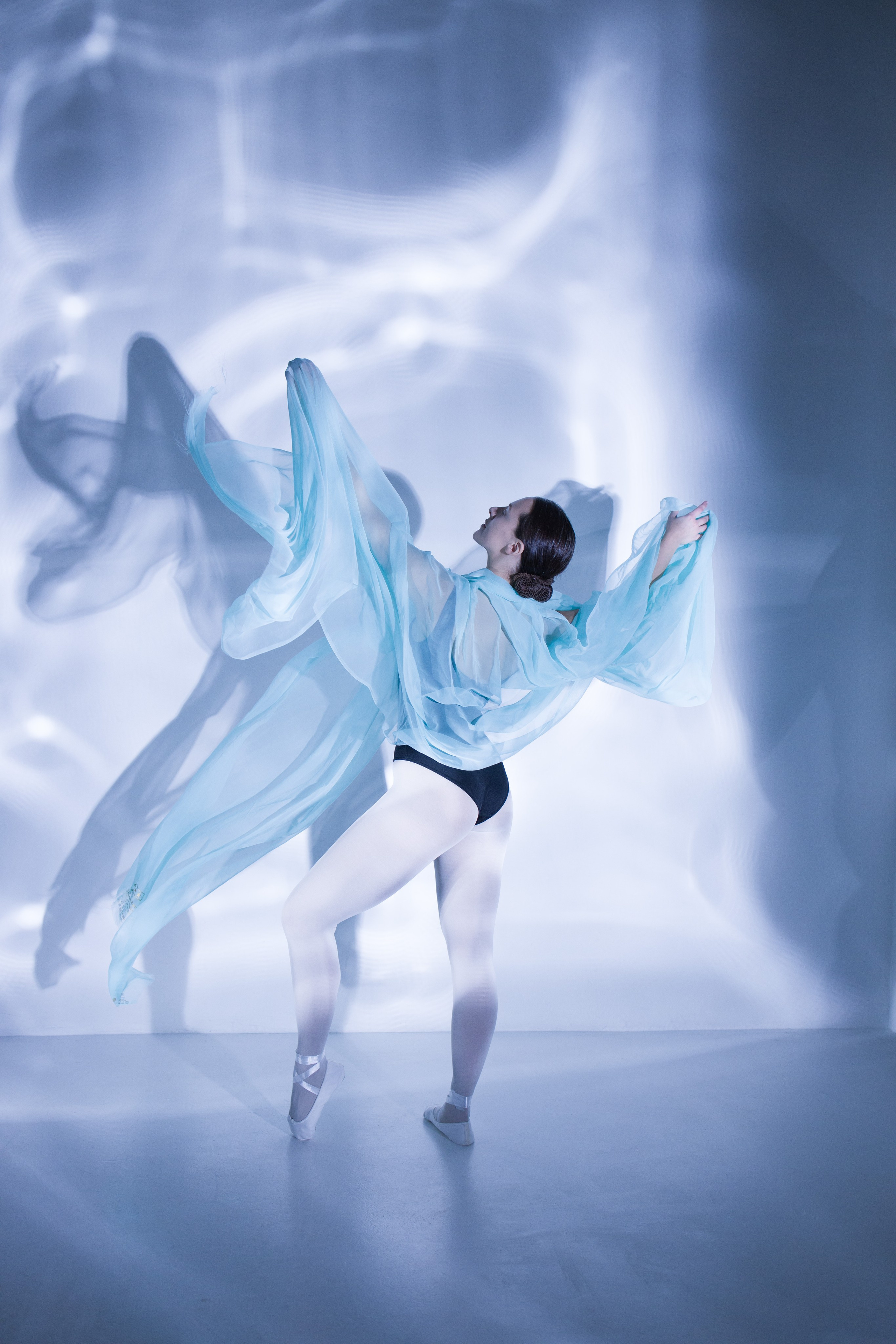 Лилия. Художественная фотография