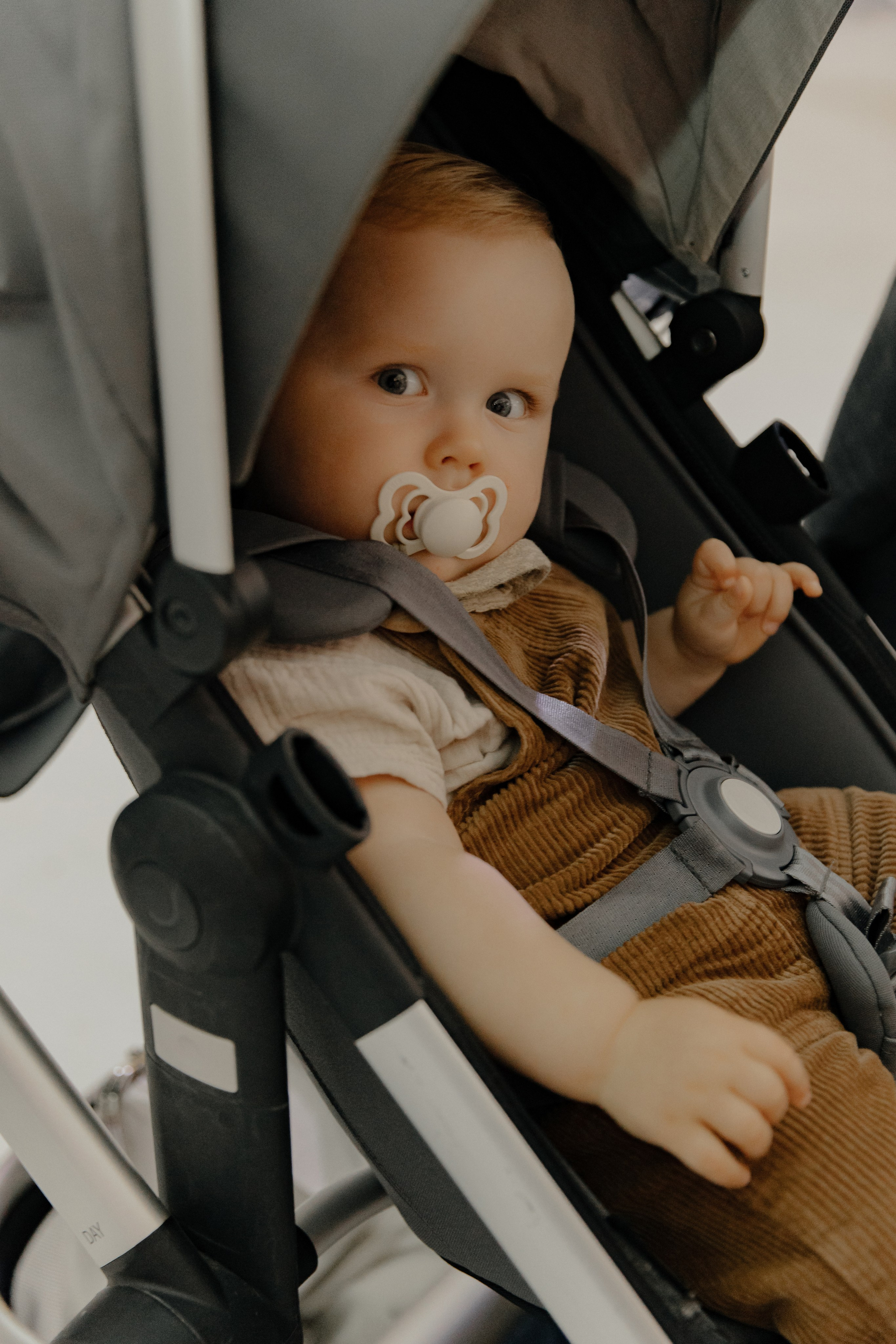 31.08.2024. RETOUCH-HOUSE