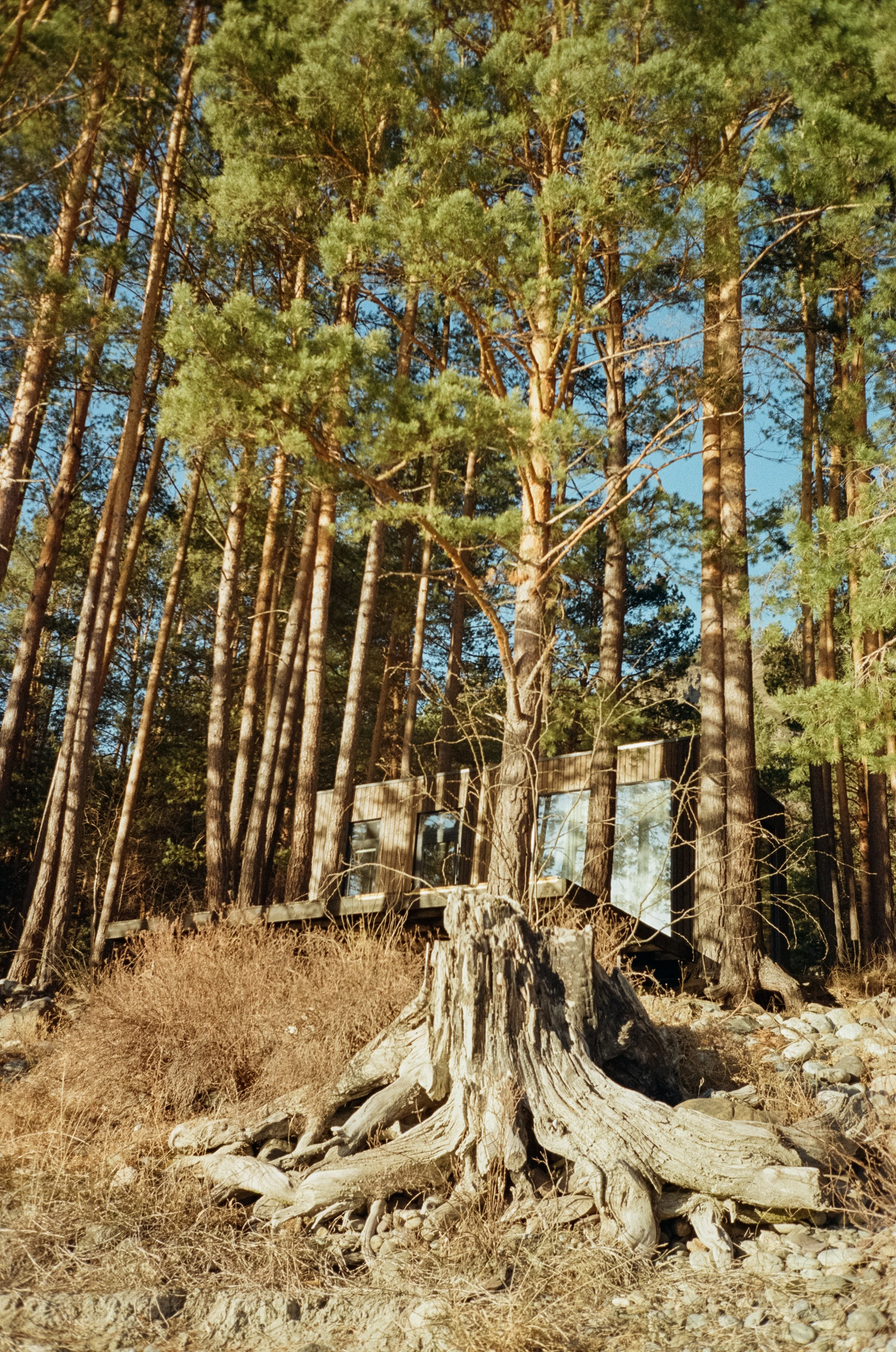 Зима и лето, Катунь и солнце, снег и лед. База Берель и дорога к Coffe. Фотограф-документалист Мария Осокина