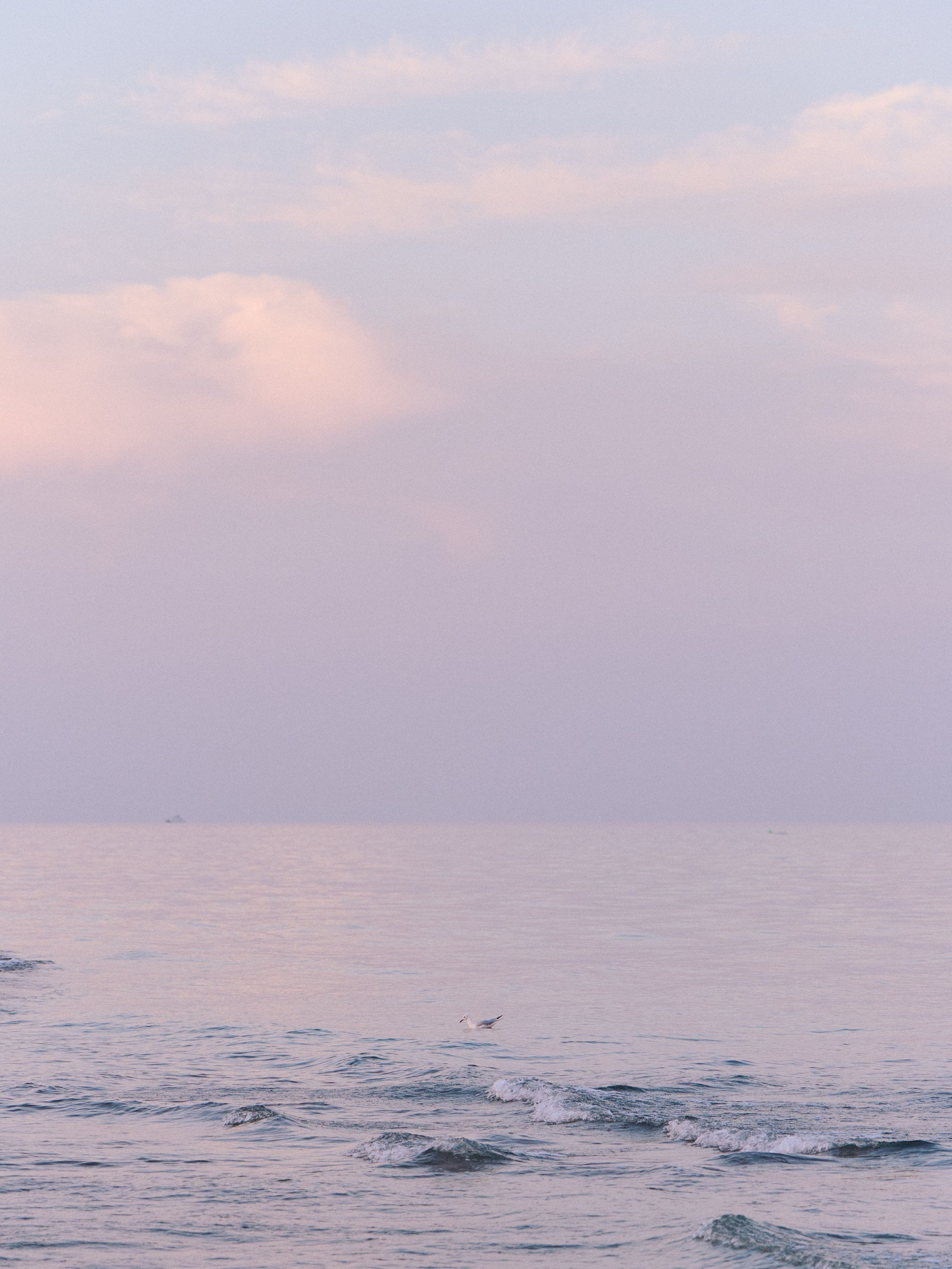 Другое 3. Jorgis — фотограф в Хургаде / обучение фотографии