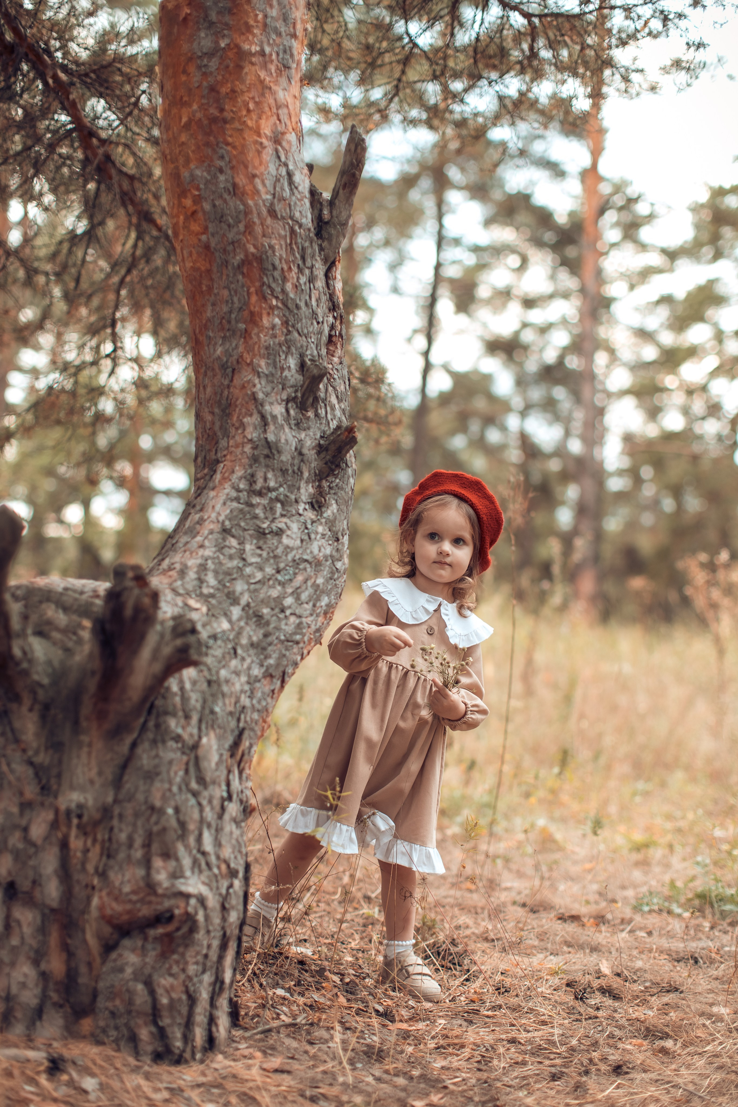 Прогулка в Широком. Главная