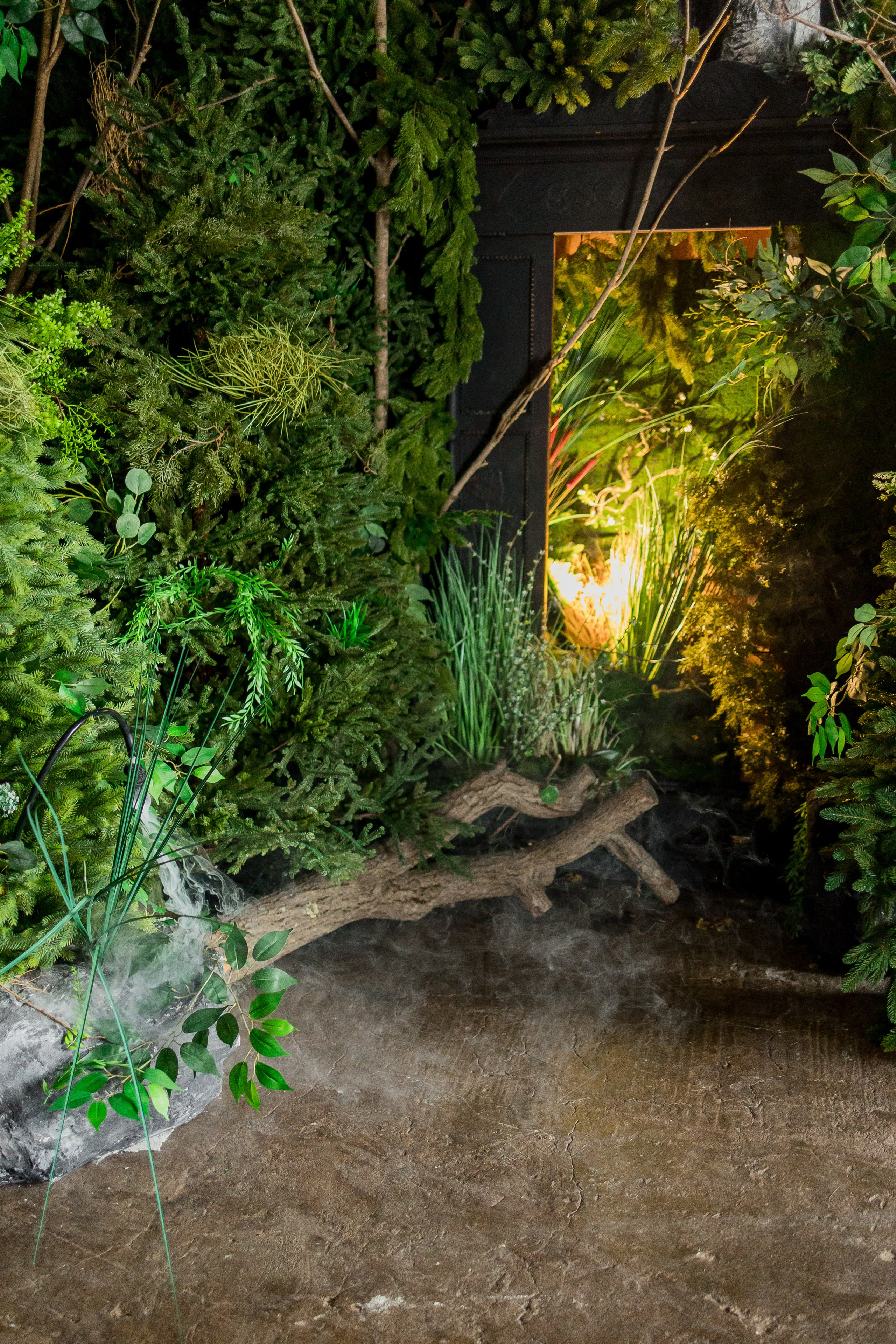 Темный зал. Фотостудия ЭМБЕР город Артём