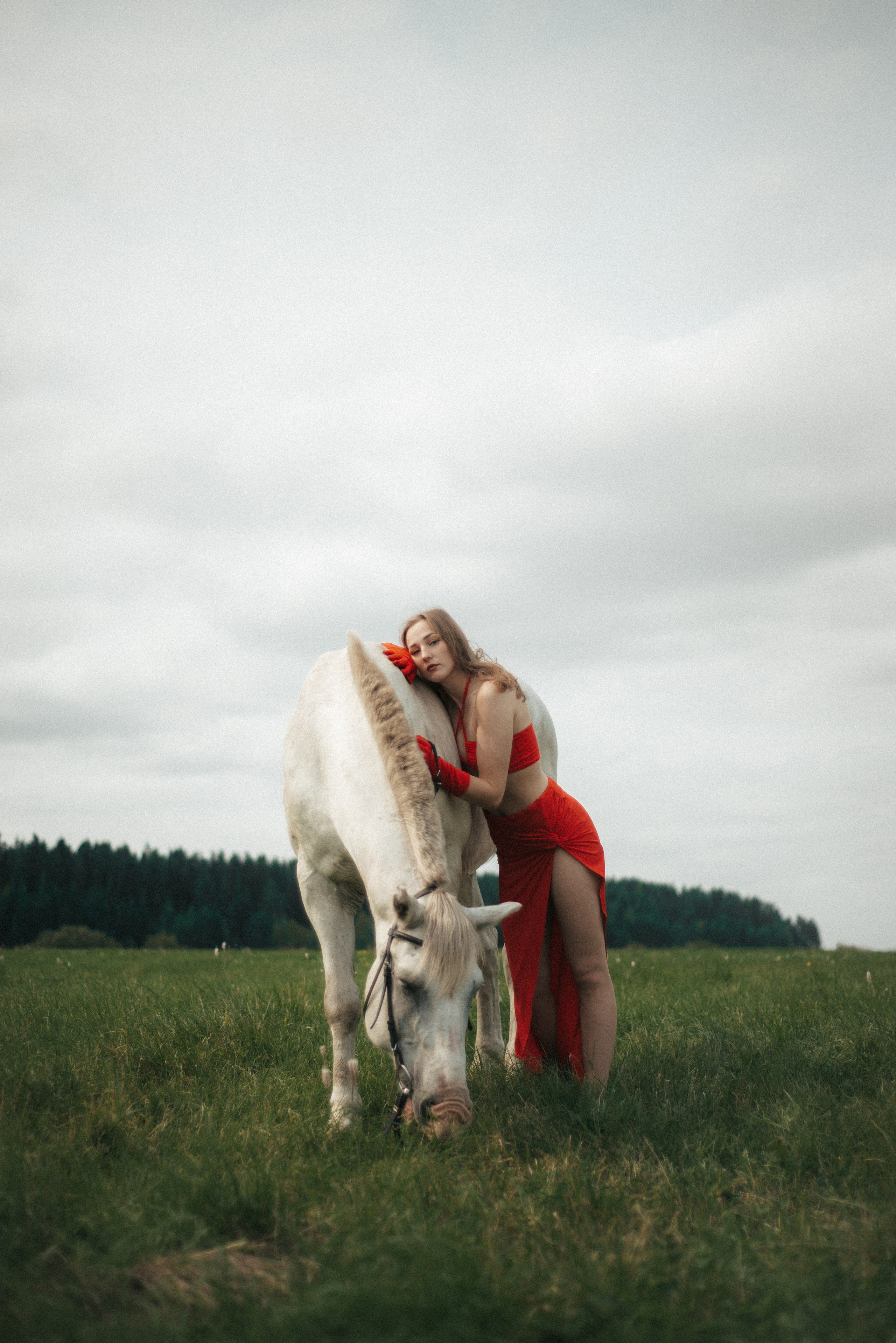 Horse. Фотограф