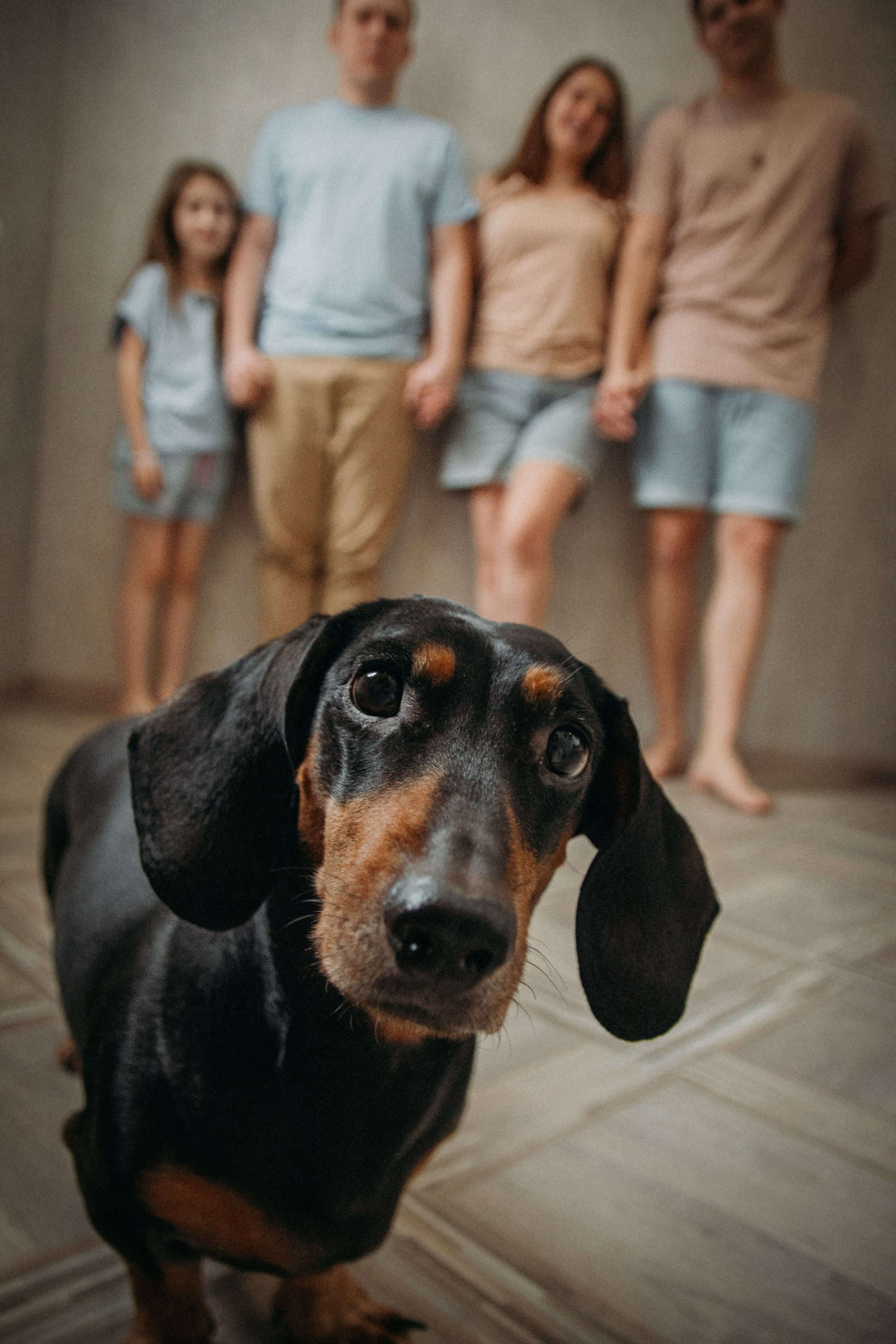 Вместе лучше. Семейный фотограф Наталия Книппенберг