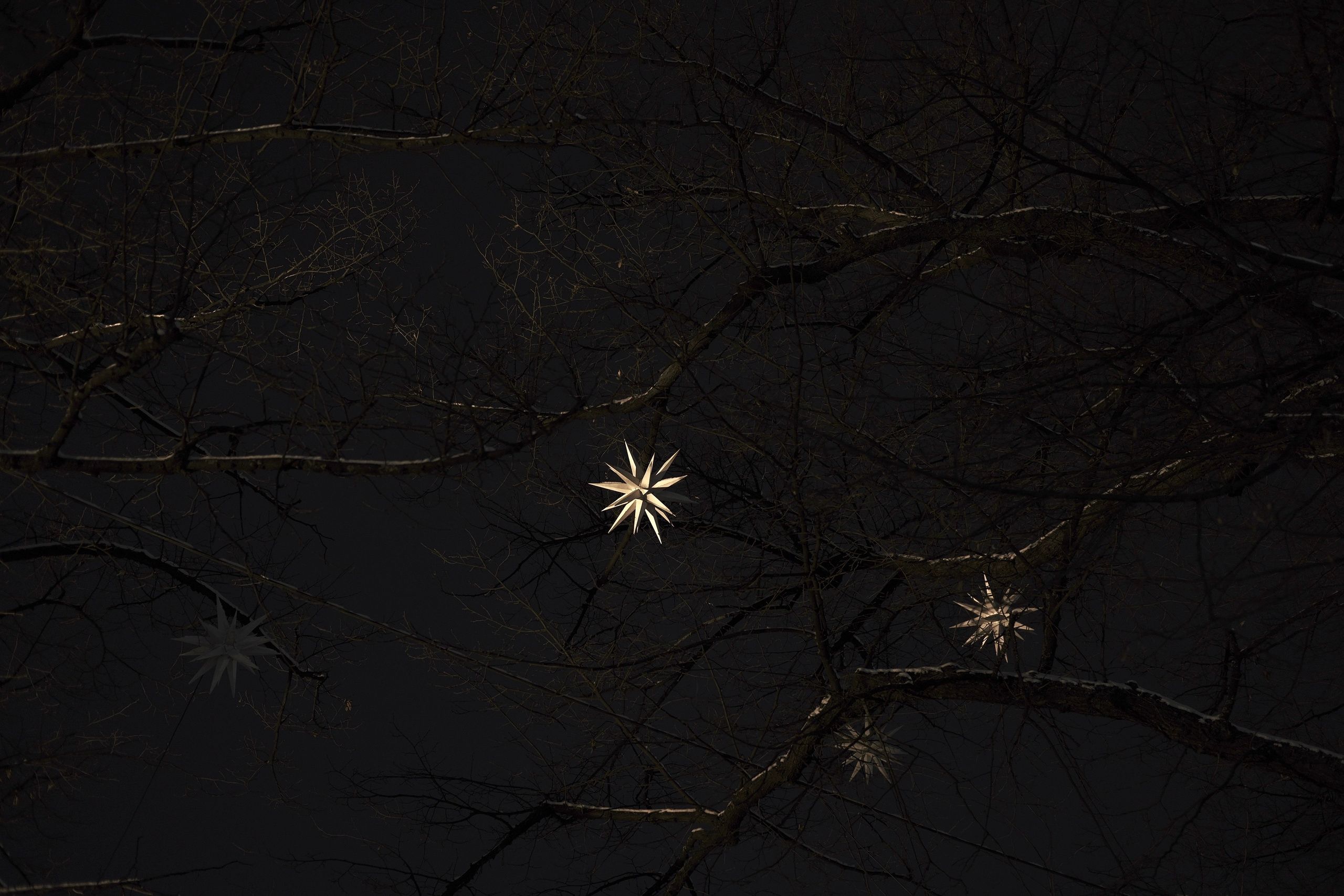 Санкт-Петербург. BELABONKA