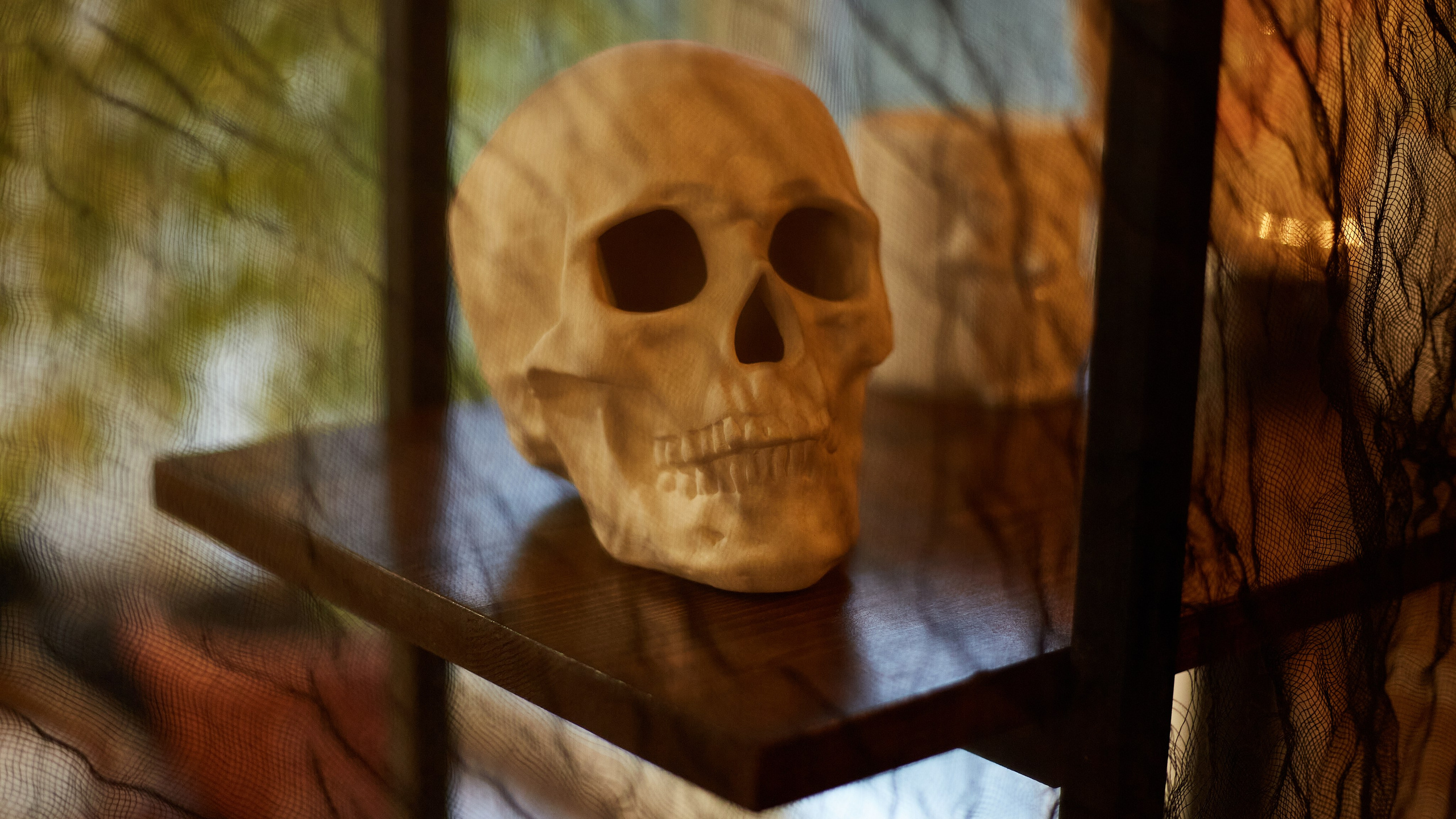 2023-10-20. Risan. Kolokol