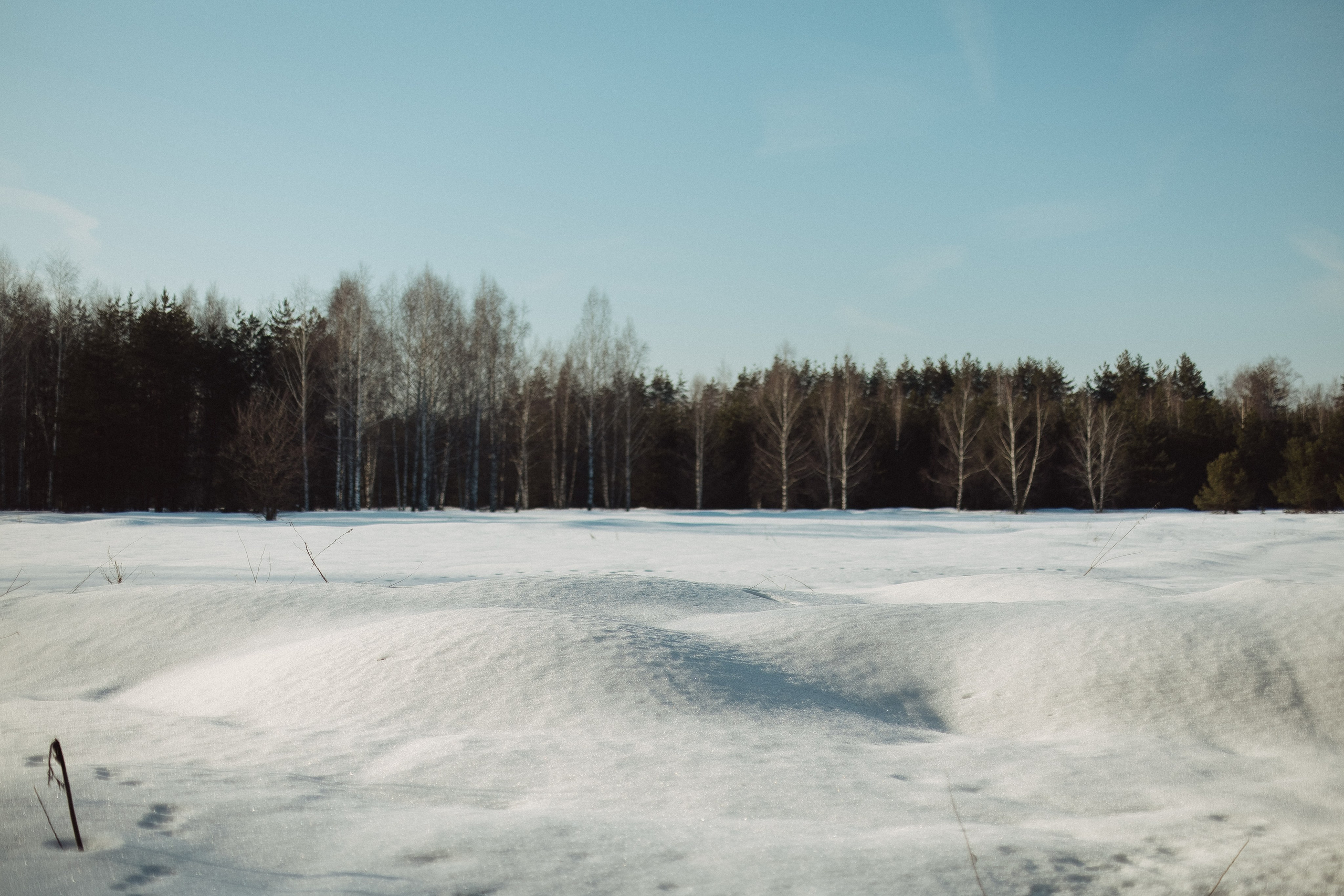Экопарк ПОЛЯНЫ. Главная