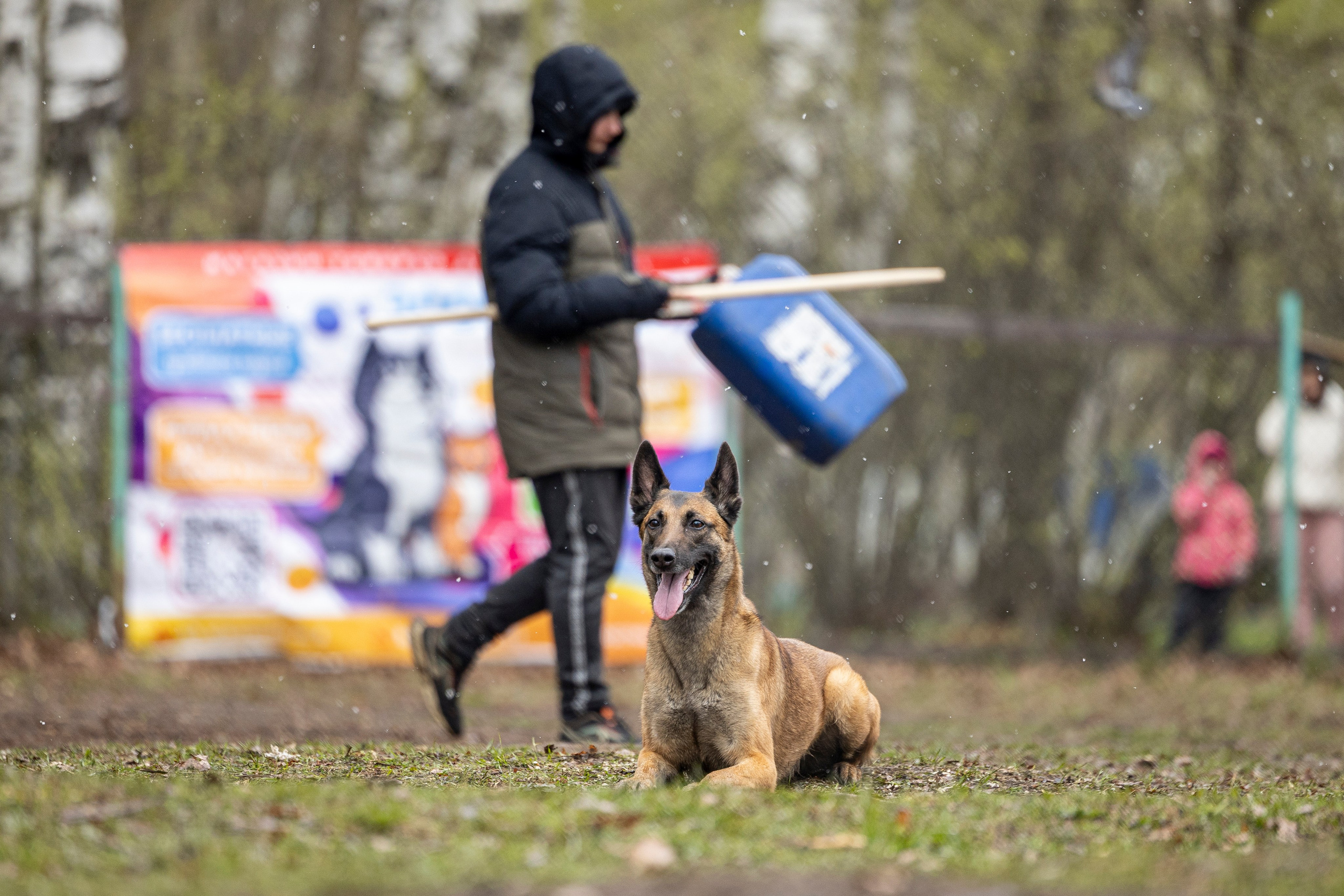 Квалификационные состязания по мондьорингу г. Вологда 11.05.24. Фотограф-анималист Анна Маринич