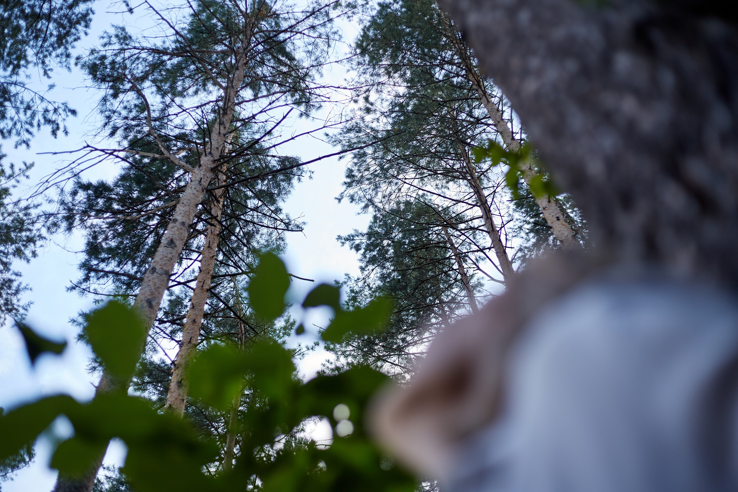 Егор, Маша, Боня