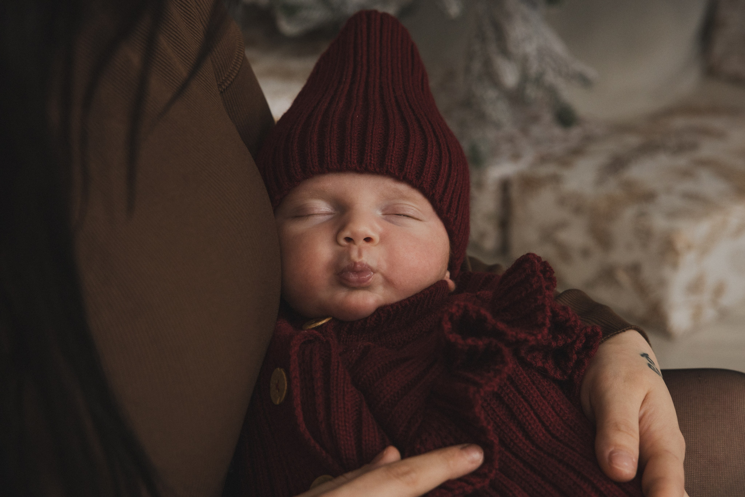 26.12.2025. Олег Минайлов — Фотограф ваших событий