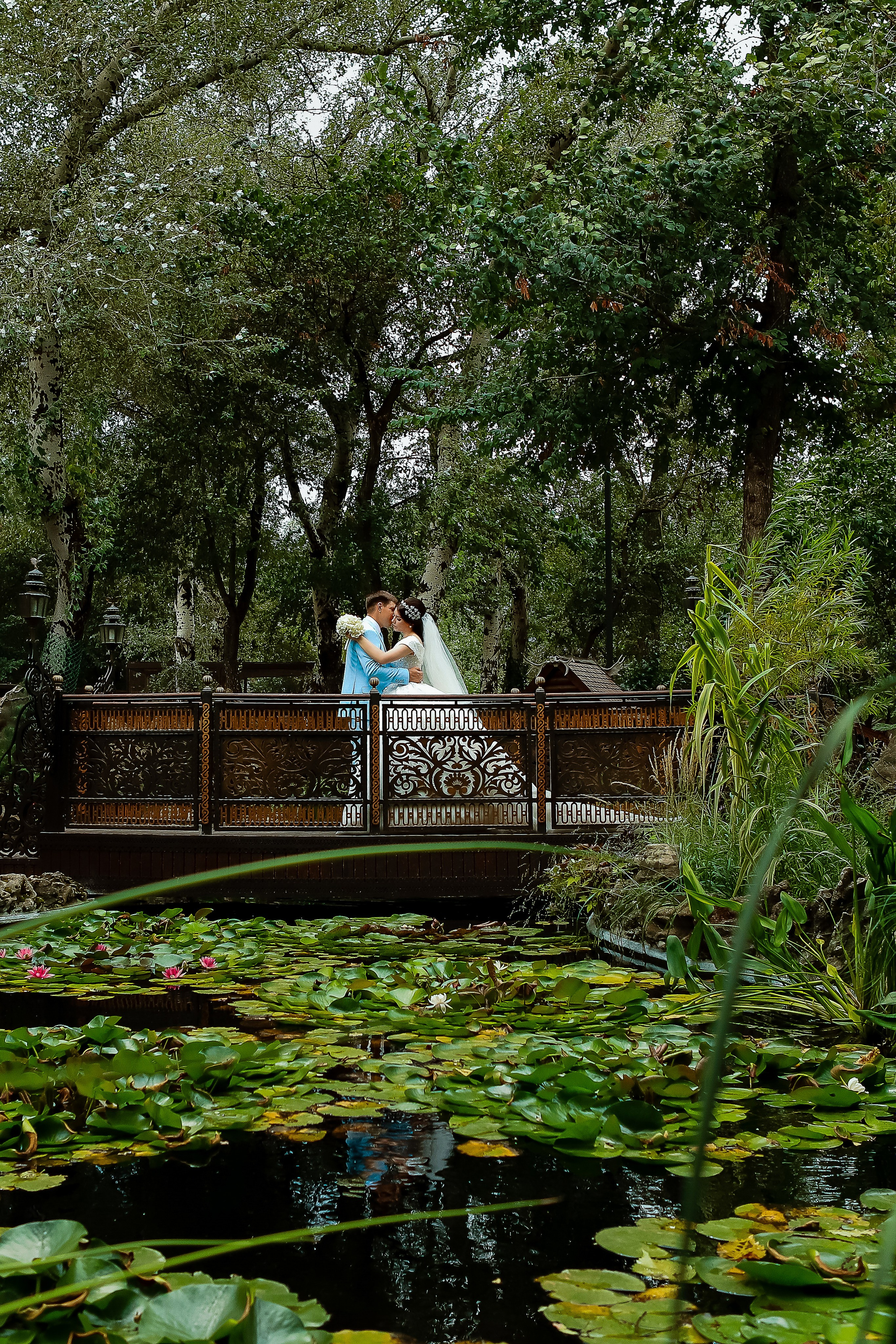 Лариса и Дмитрий. Свадебный фотограф Евгения Фролова г. Каменск-Шахтинский, Донецк, Ростов