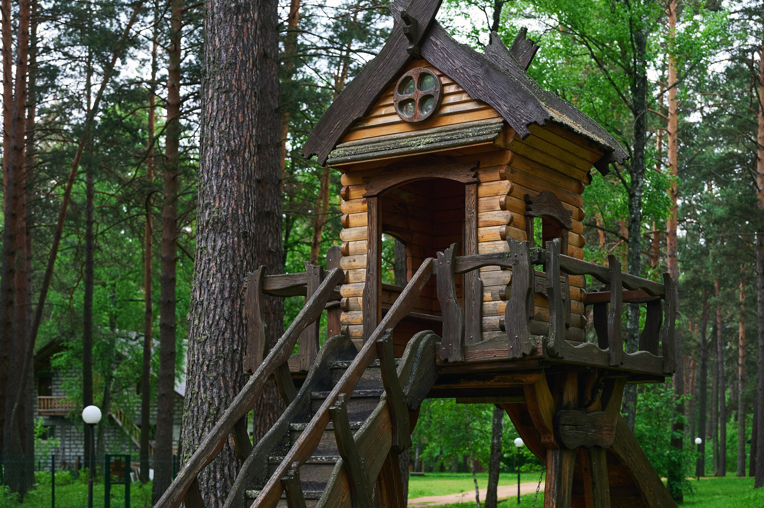 Эхо Катуни. Фотограф Опыт Качество Скорость Горный Алтай Барнаул