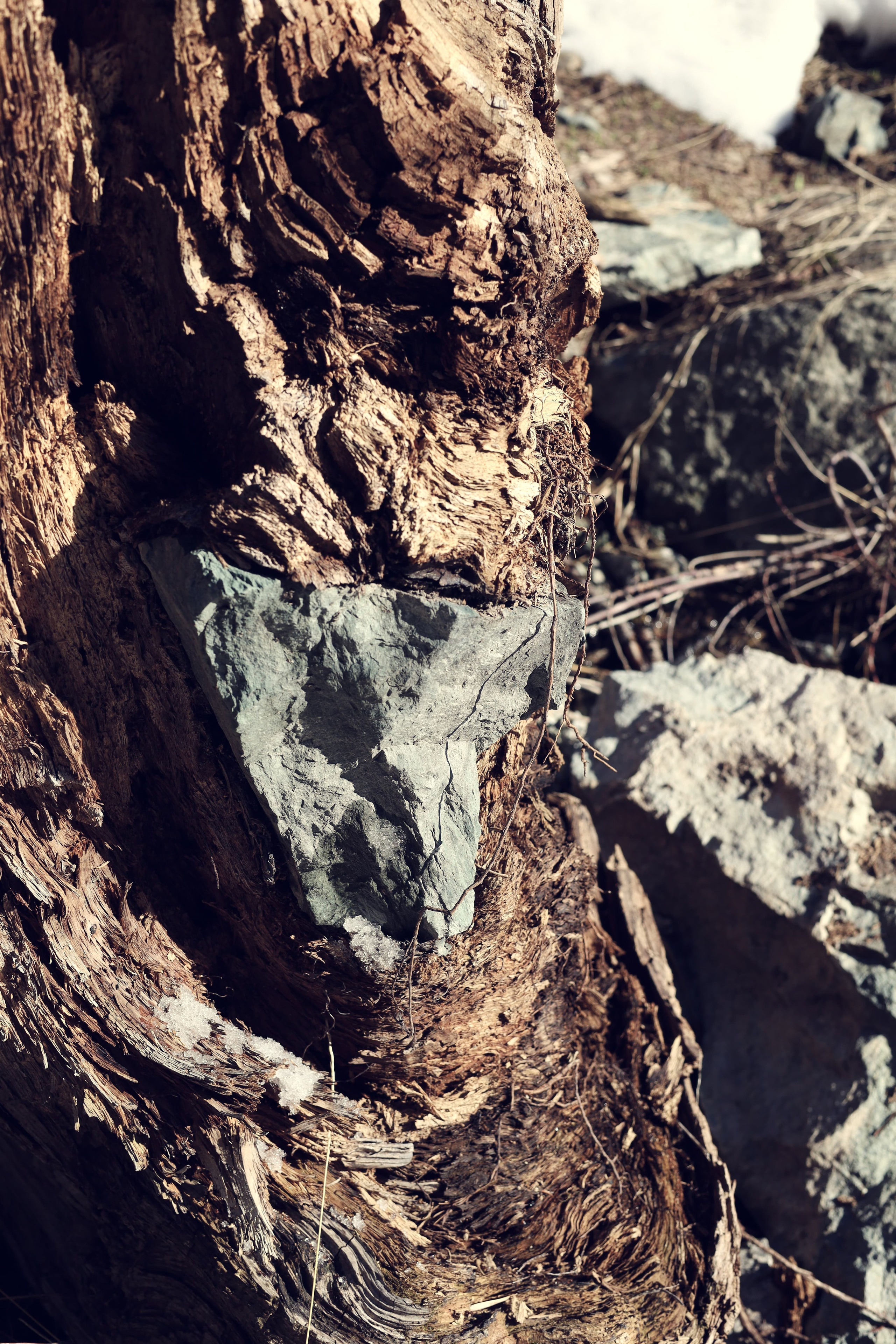 | Девичьи Слезы |. Фотограф |Алматы | Ruslan Zhadigerov