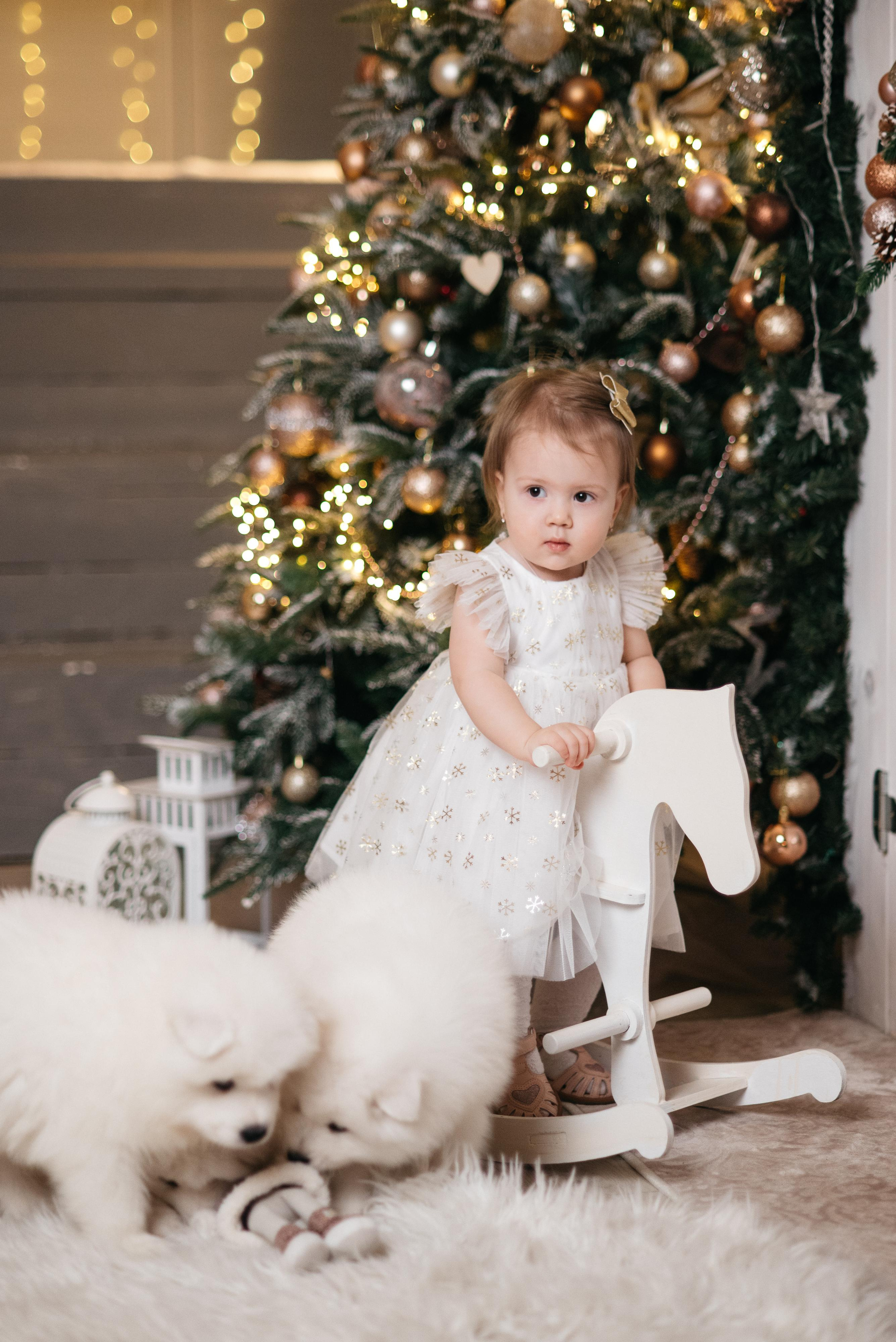 Новогодняя с щенками. Свадебный фотограф Ижевск Петр Шишков