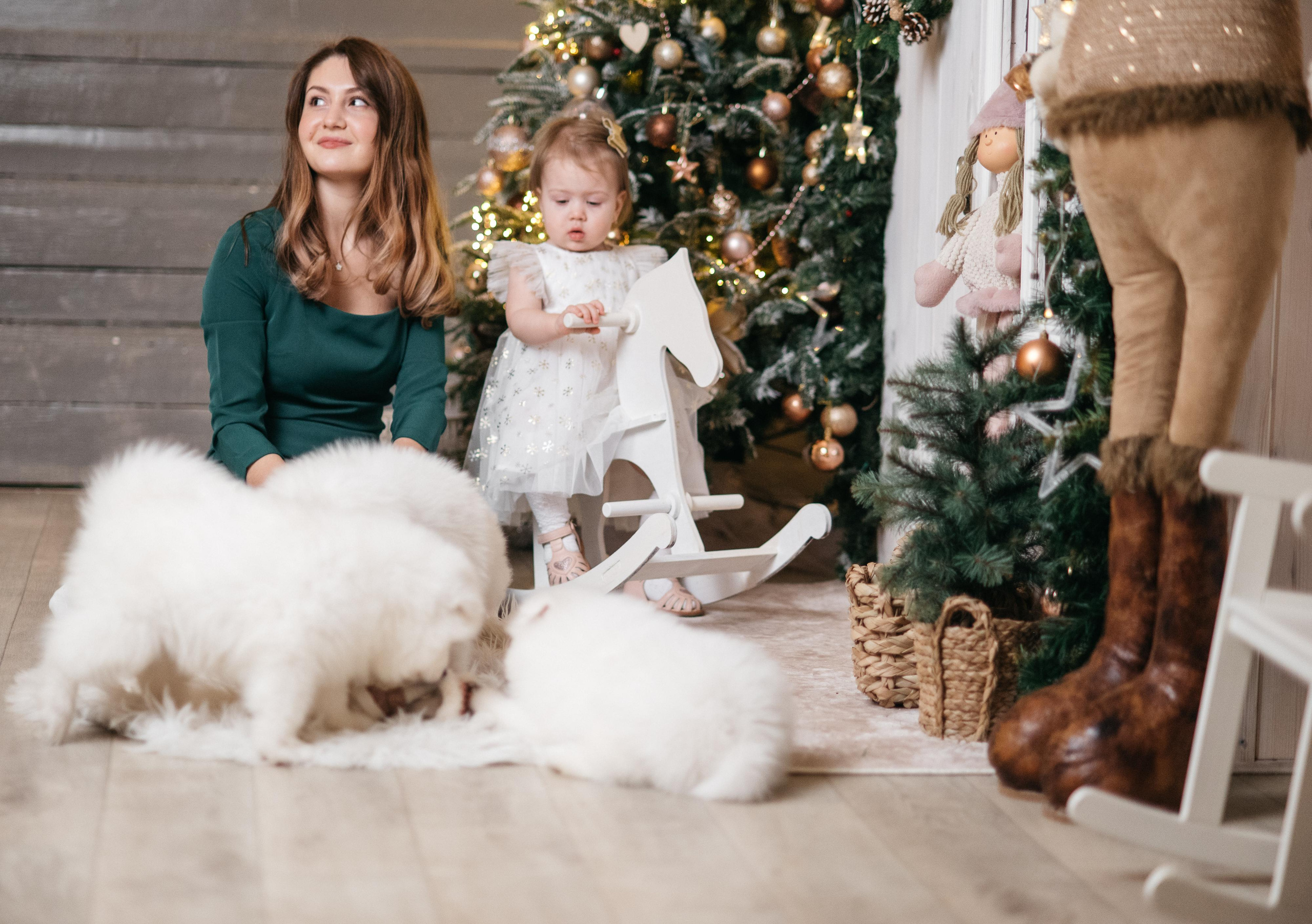 Новогодняя с щенками. Свадебный фотограф Ижевск Петр Шишков