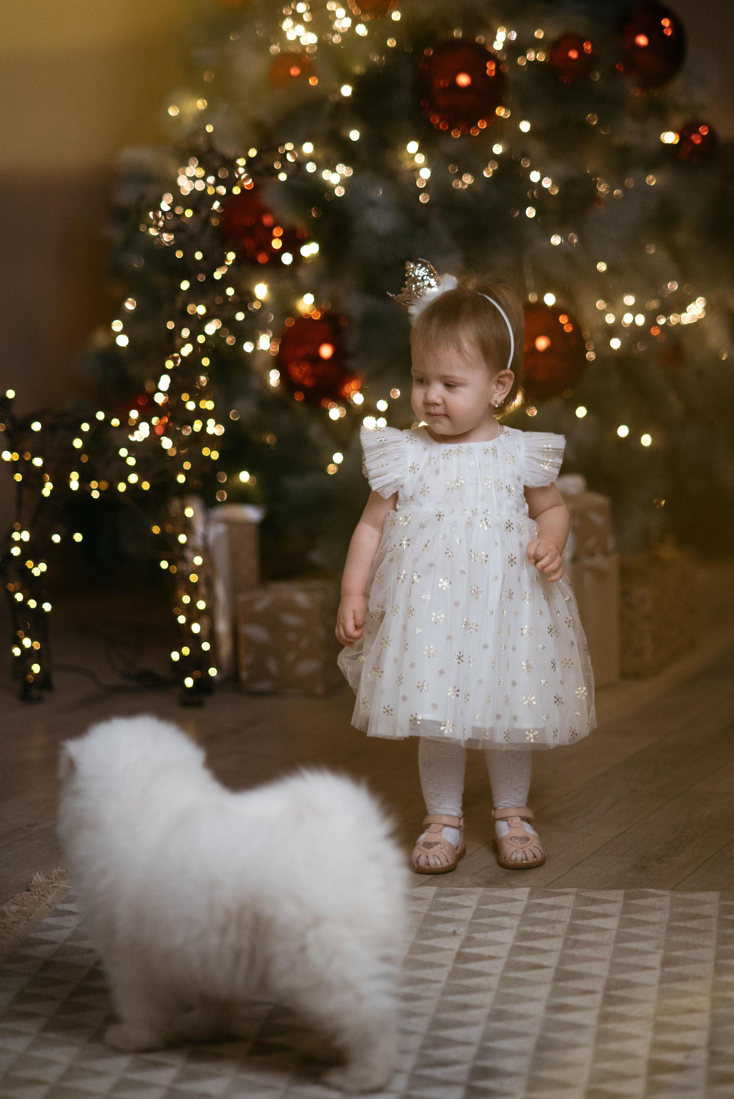 Новогодняя с щенками. Свадебный фотограф Ижевск Петр Шишков