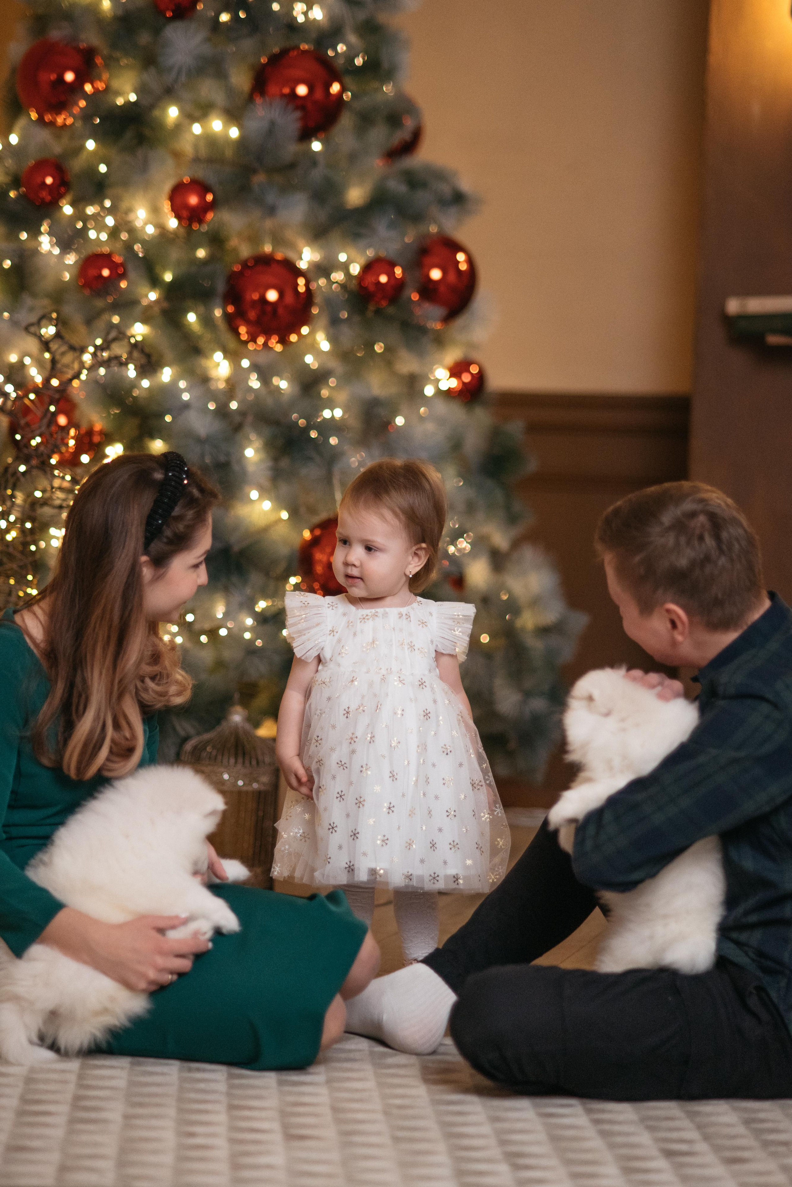 Новогодняя с щенками. Свадебный фотограф Ижевск Петр Шишков