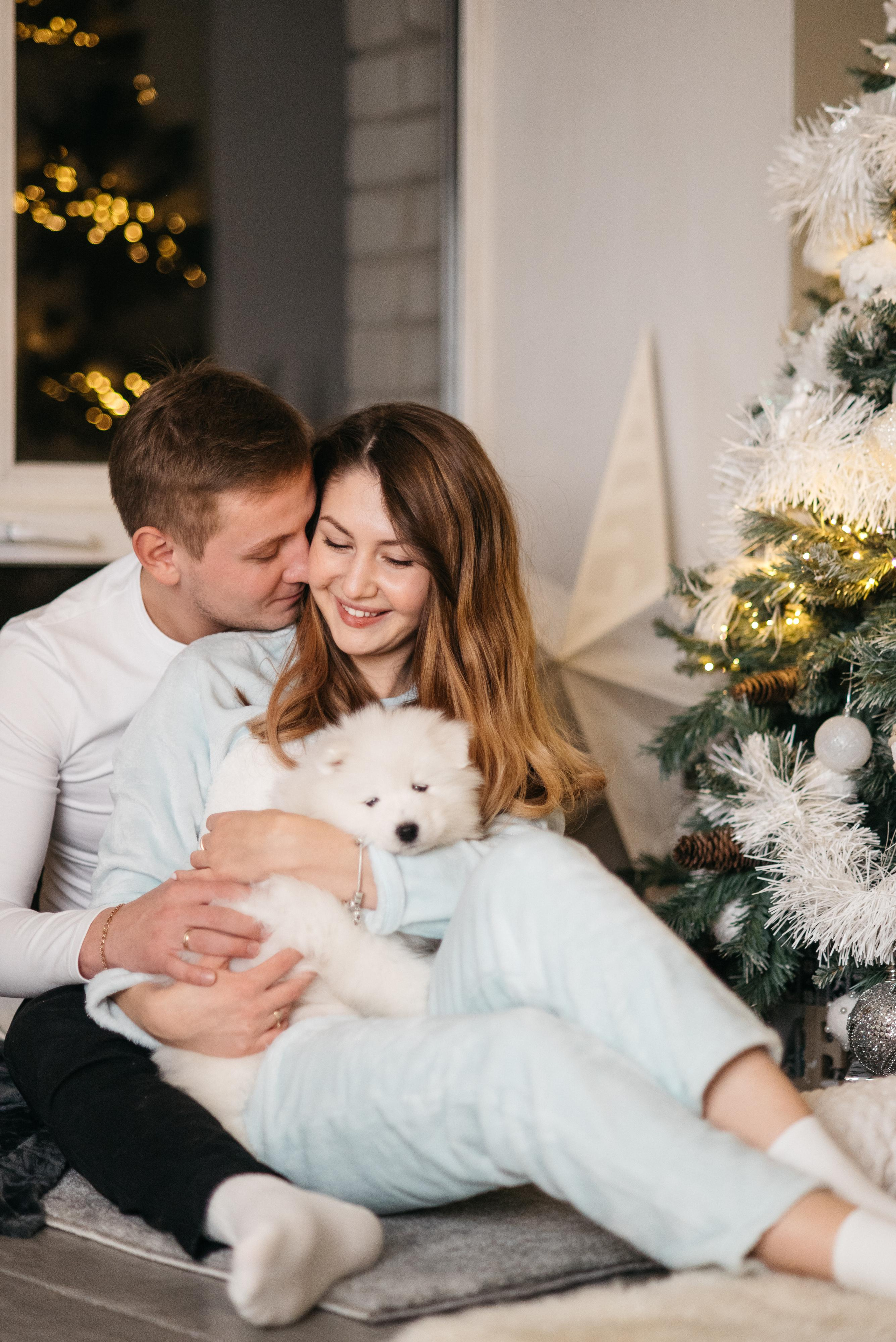 Новогодняя с щенками. Свадебный фотограф Ижевск Петр Шишков