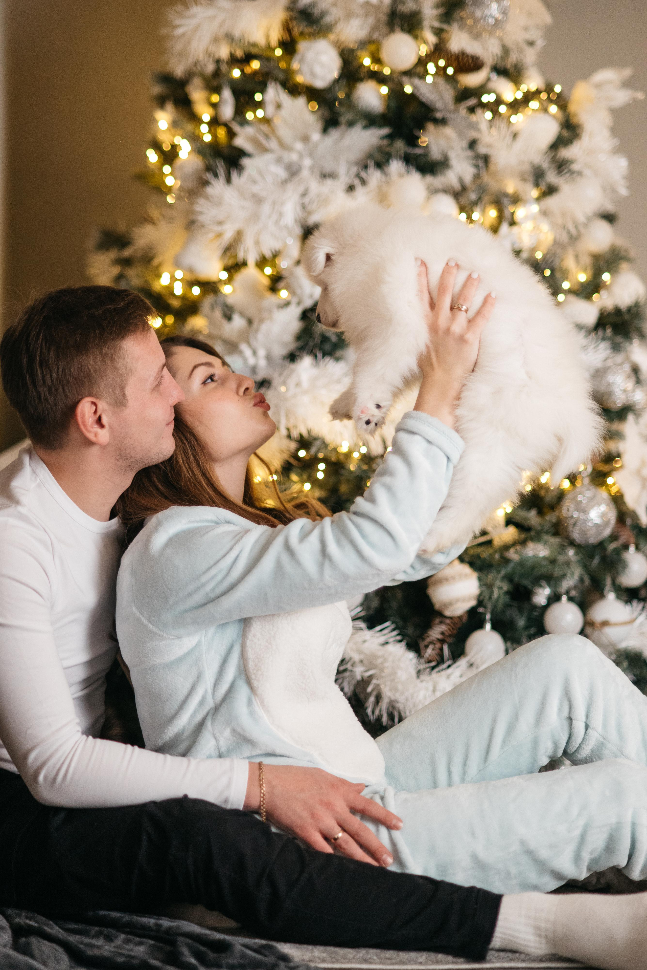 Новогодняя с щенками. Свадебный фотограф Ижевск Петр Шишков