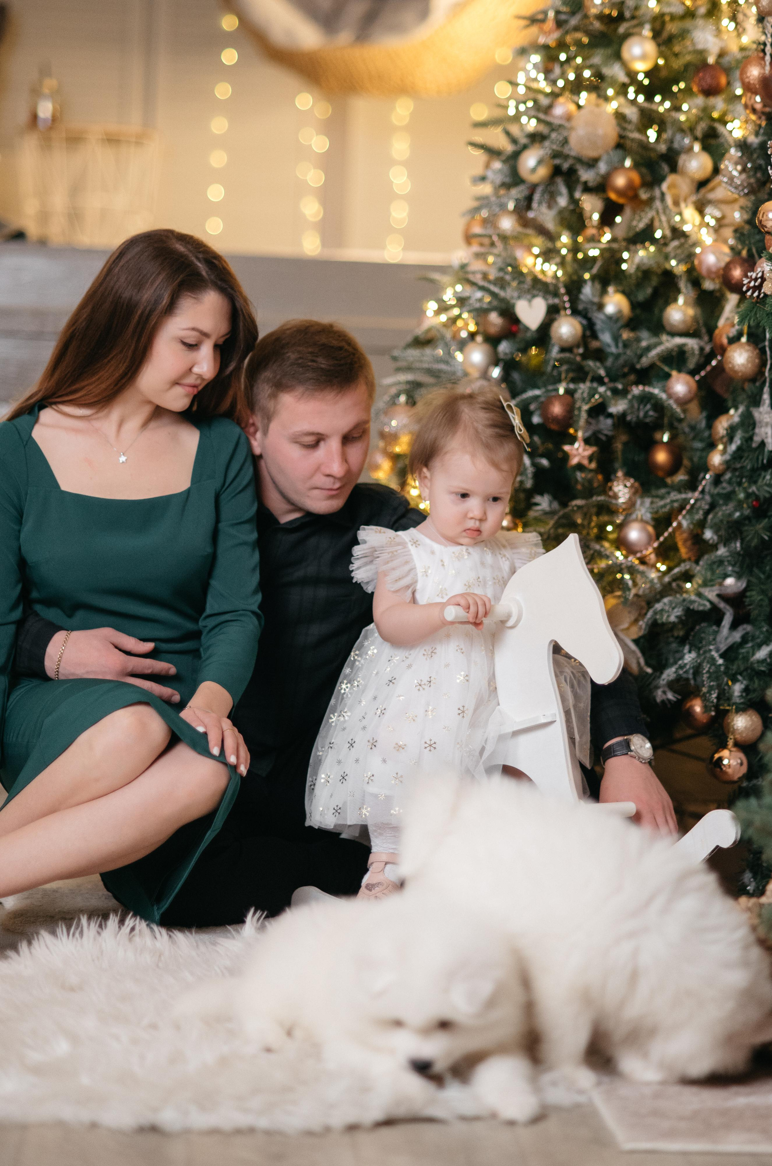 Новогодняя с щенками. Свадебный фотограф Ижевск Петр Шишков