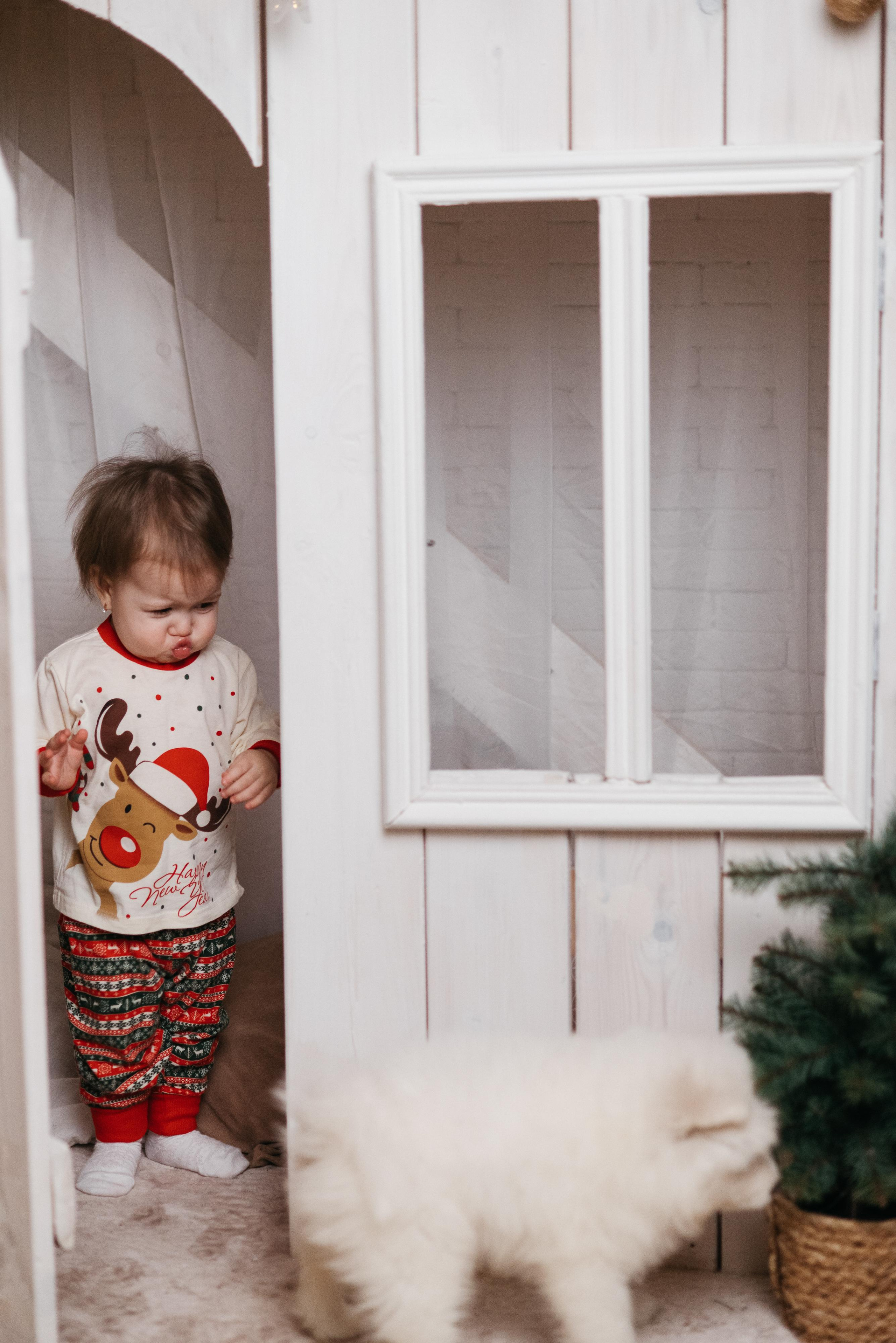 Новогодняя с щенками. Свадебный фотограф Ижевск Петр Шишков