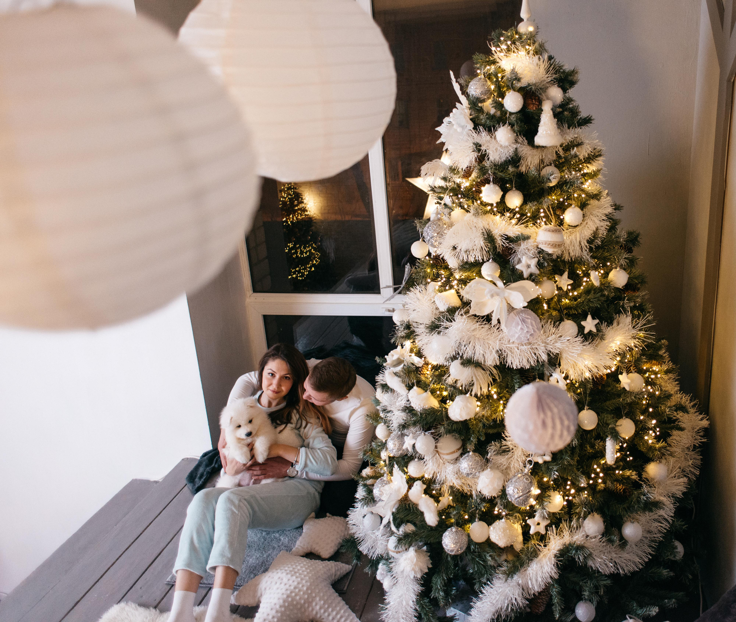 Новогодняя с щенками. Свадебный фотограф Ижевск Петр Шишков