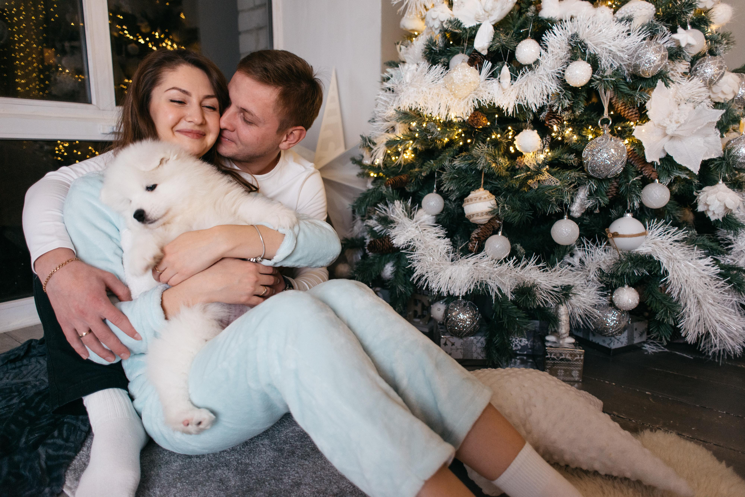 Новогодняя с щенками. Свадебный фотограф Ижевск Петр Шишков
