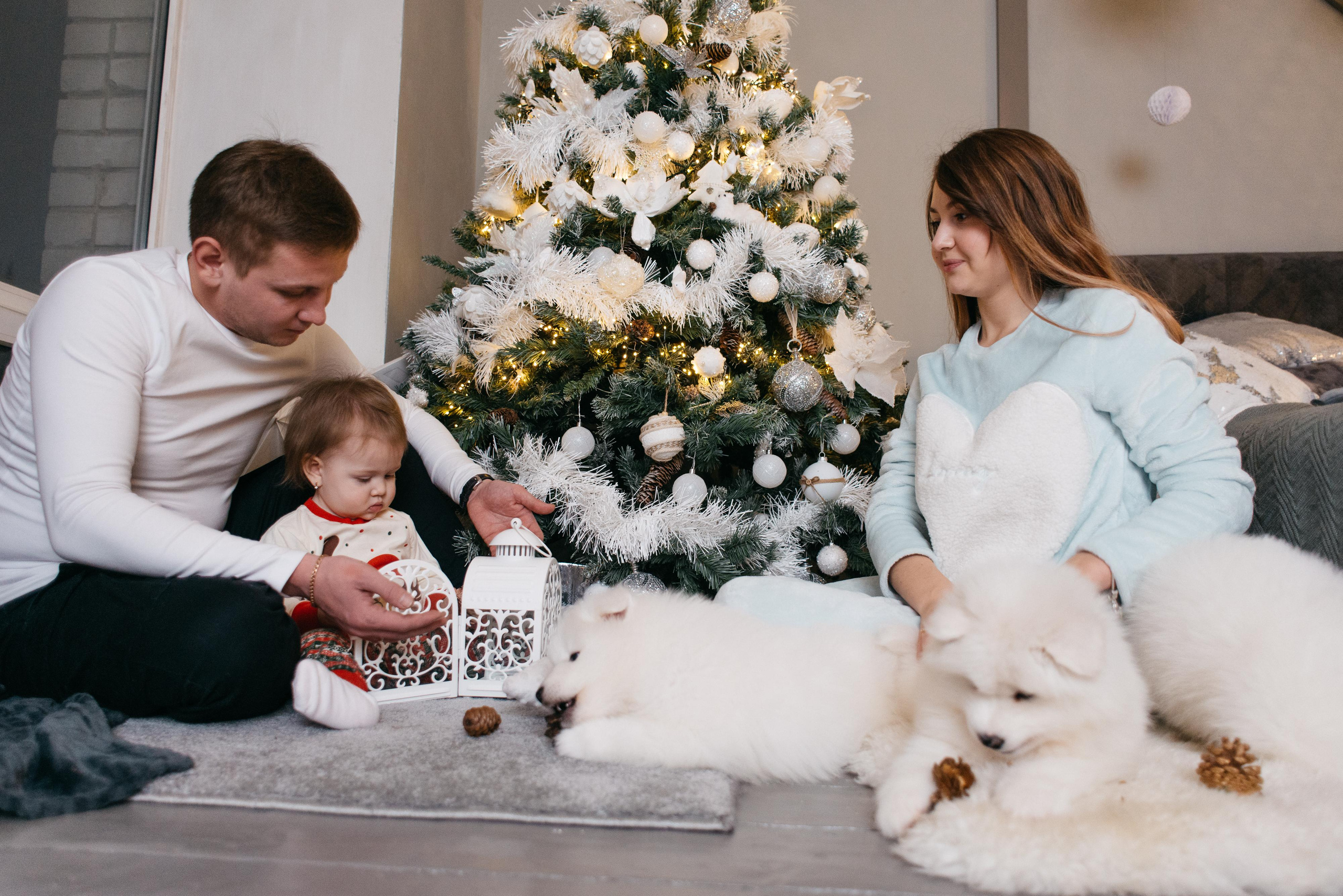 Новогодняя с щенками. Свадебный фотограф Ижевск Петр Шишков