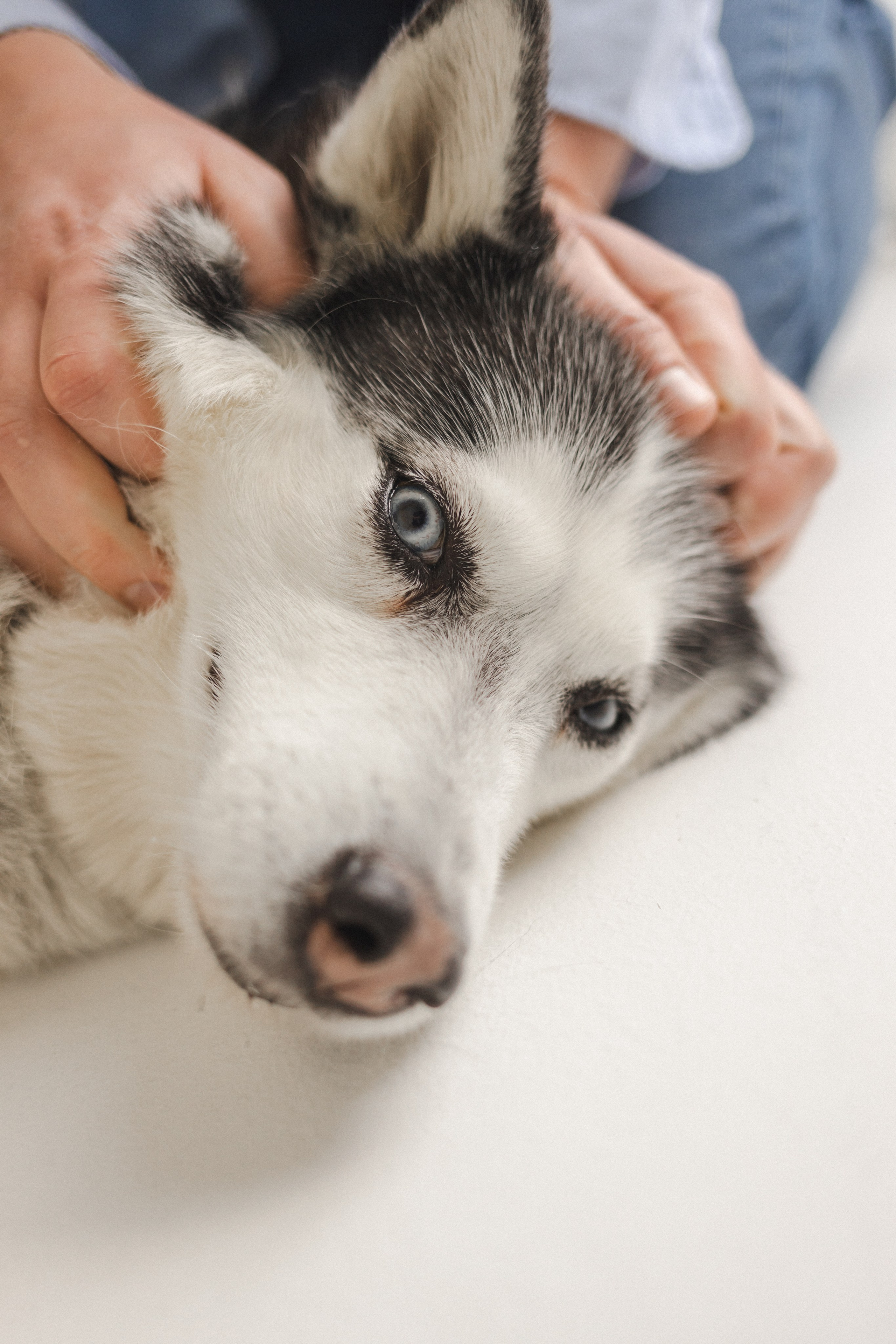 История семьи. Семейный фотограф в Москве