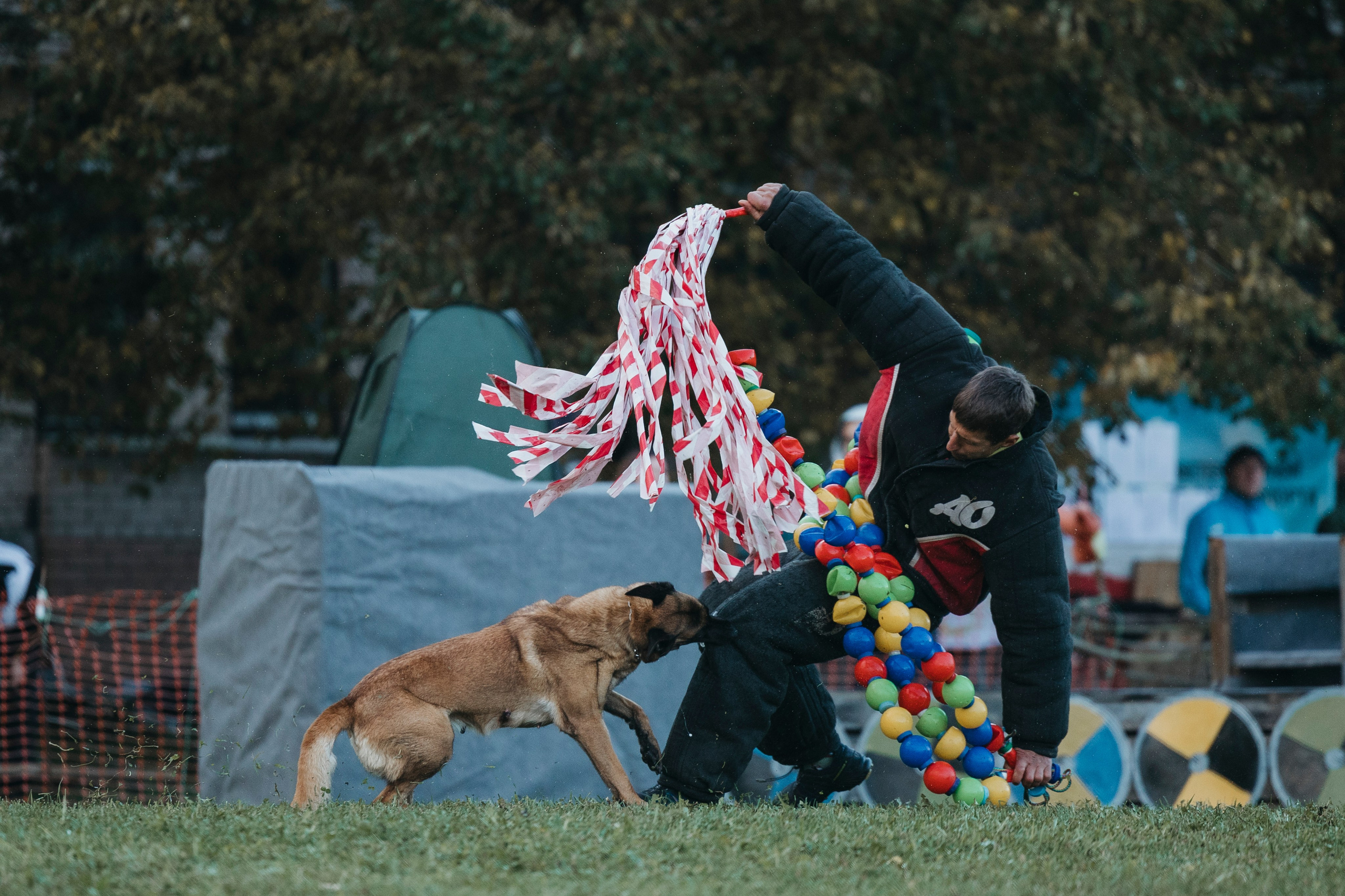 Испытания по мондьорингу г. Пушкин 29.09.2024. Фотограф-анималист Анна Маринич