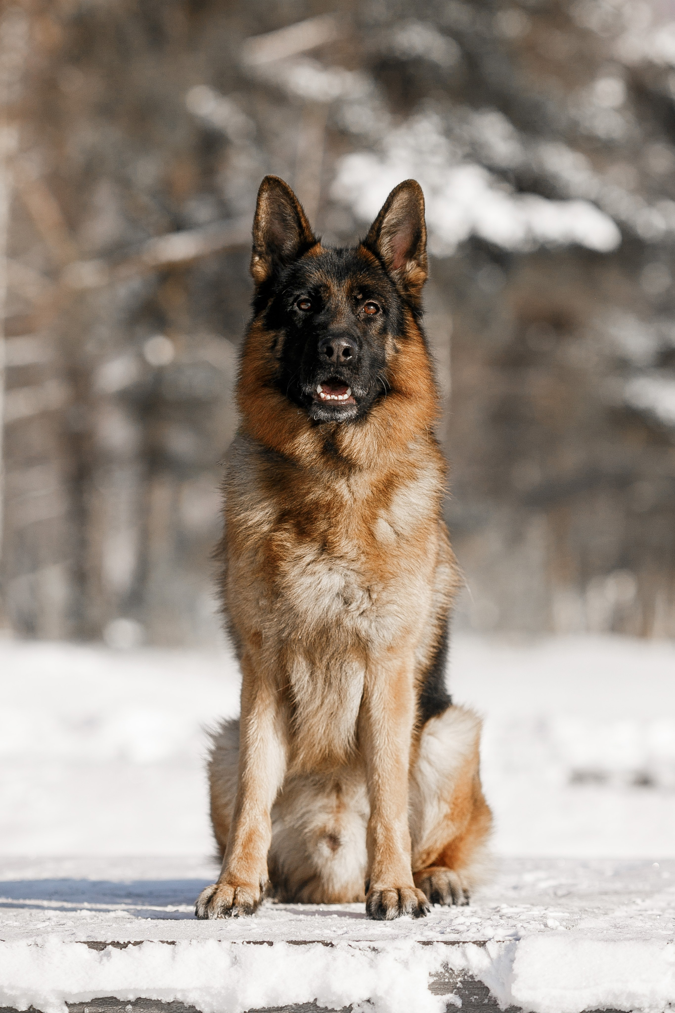 Репортажный фотограф Борис Геер