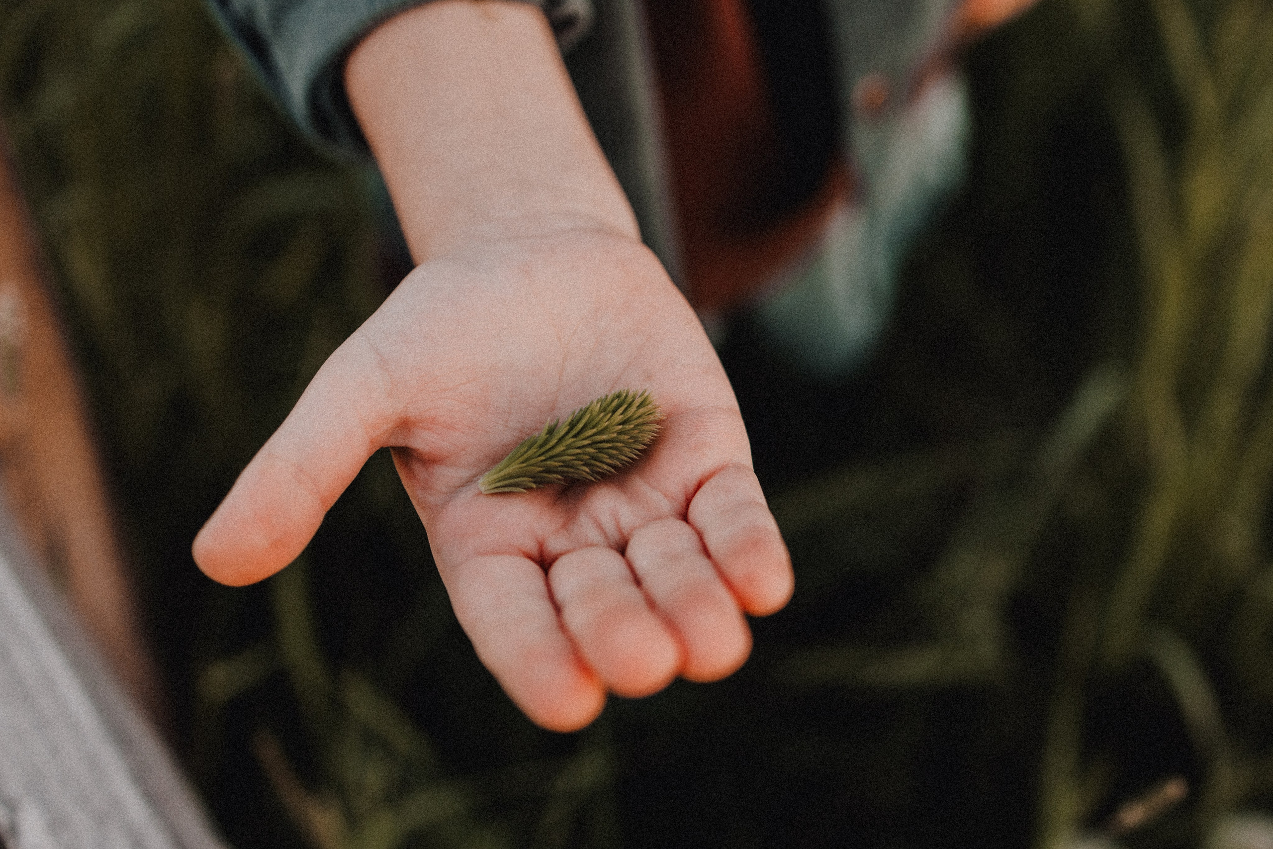 Руслан и Тимур 3. Семейный фотограф Москва