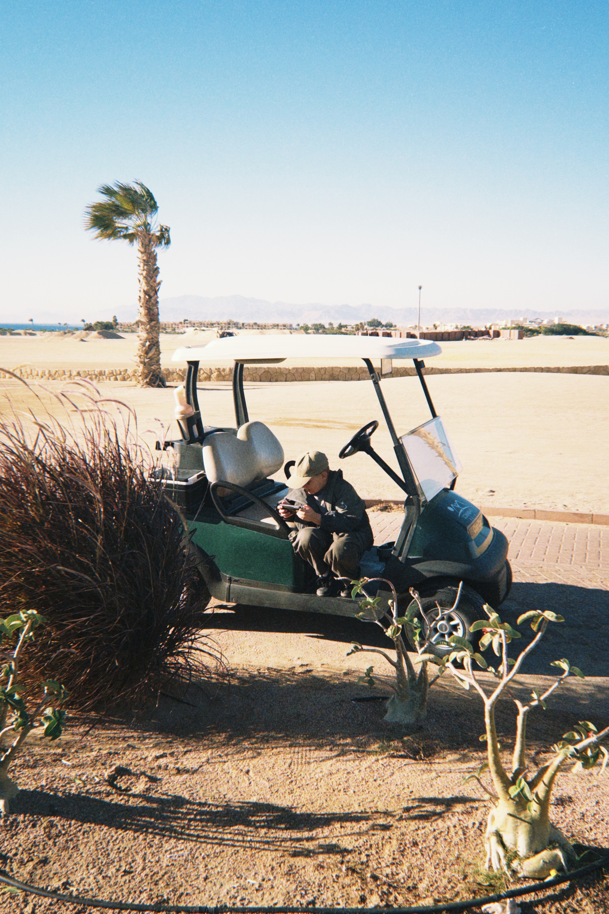 Данил колбасенко. Портфолио