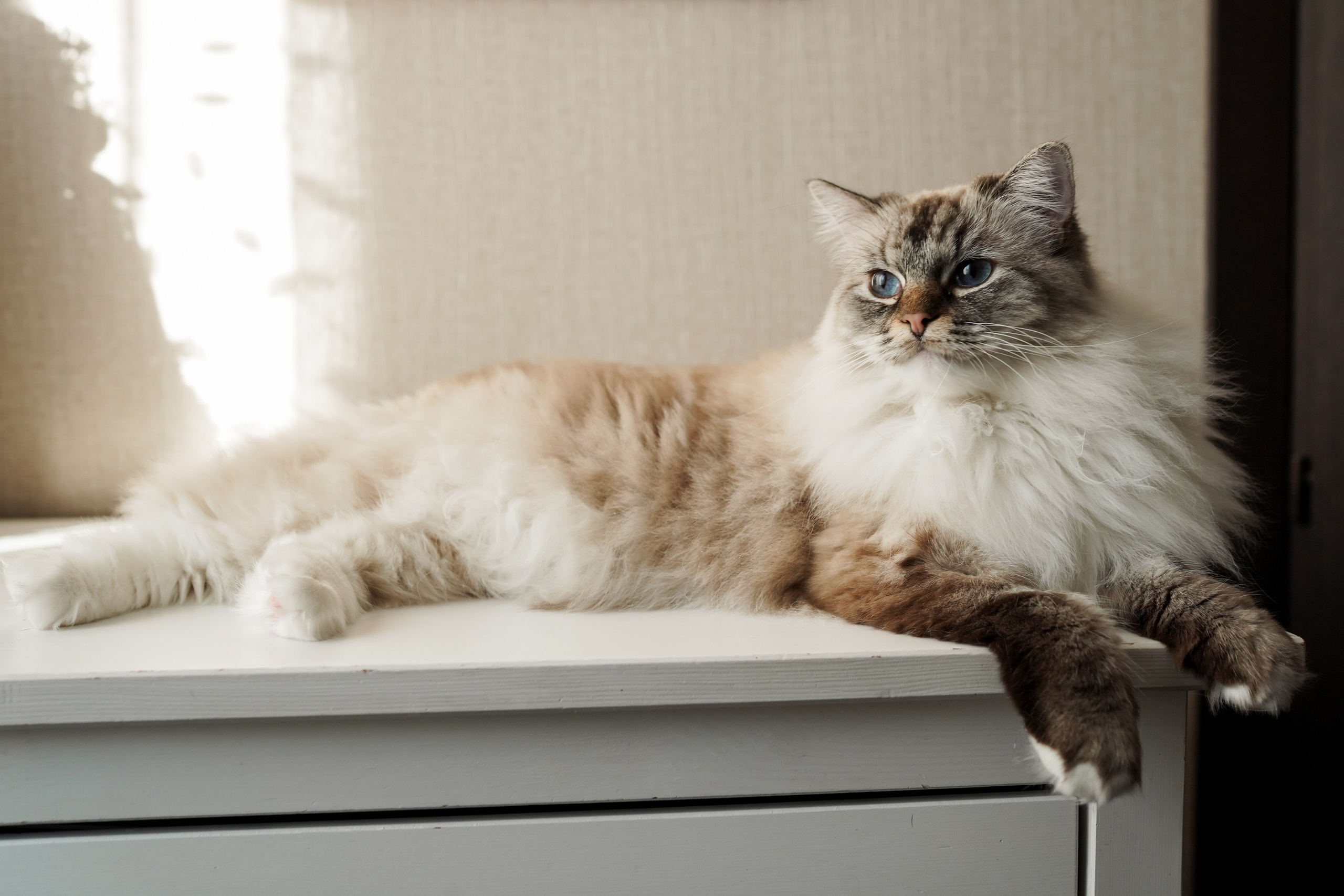 Семейная. Детский и семейный фотограф в Москве Мария Луговая