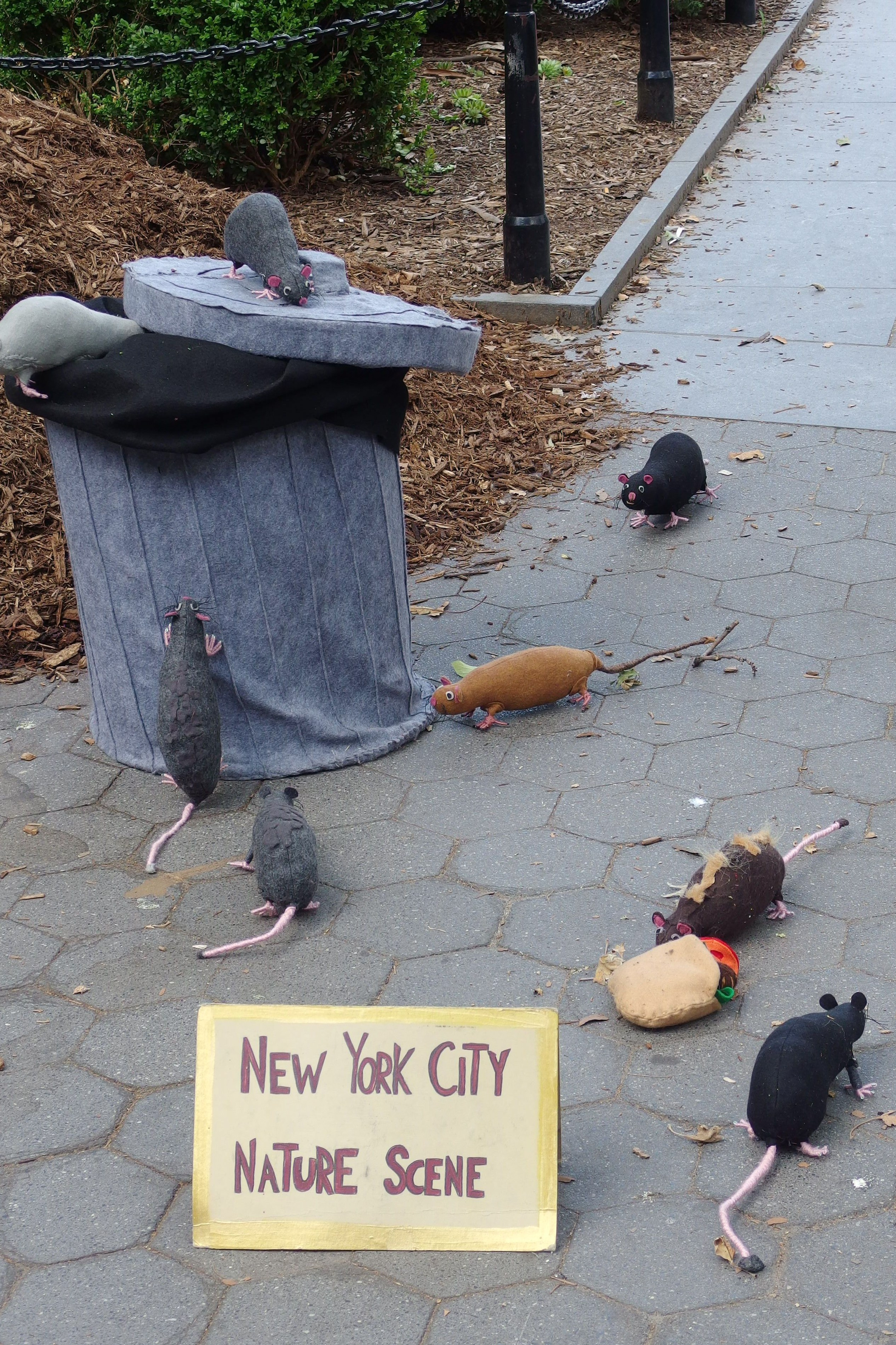 Однажды в Америке. Фотограф Дмитрий Алексеев