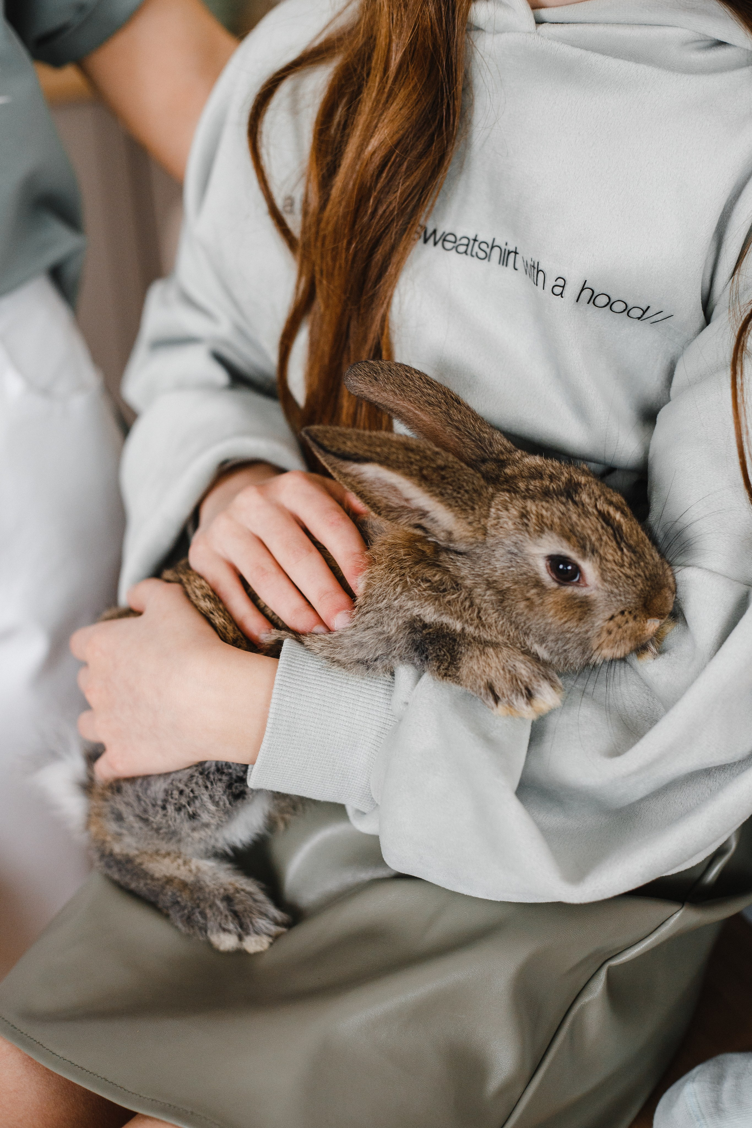 Family. Главная