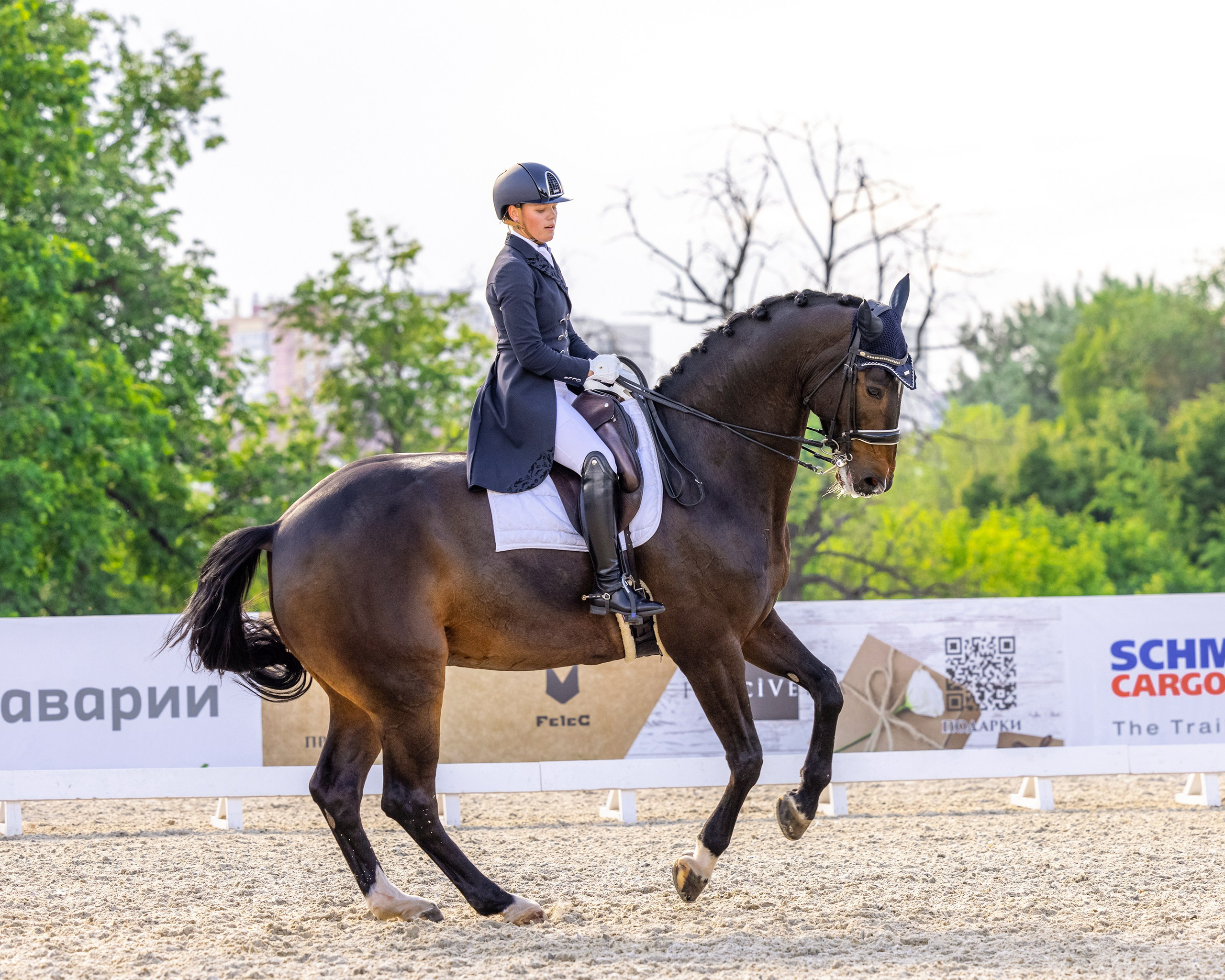 Выездка. Mrs.Aquarelia Конный фотограф Марианна Леонтьева