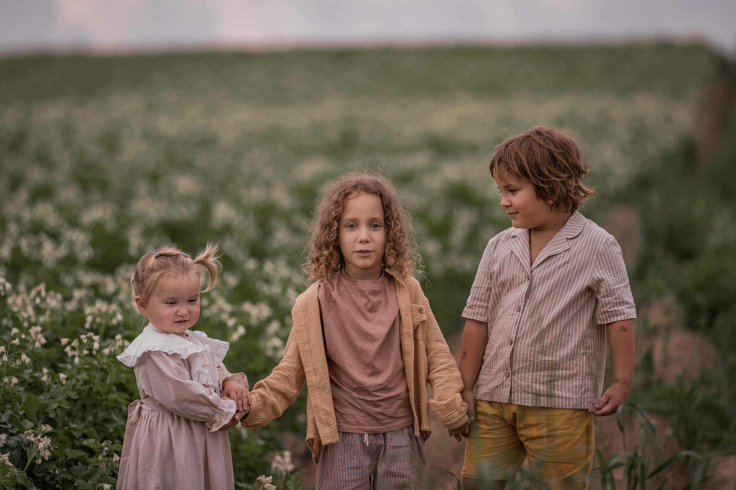 Пшеничное поле, август. Семейный фотограф Ефремова Виктория